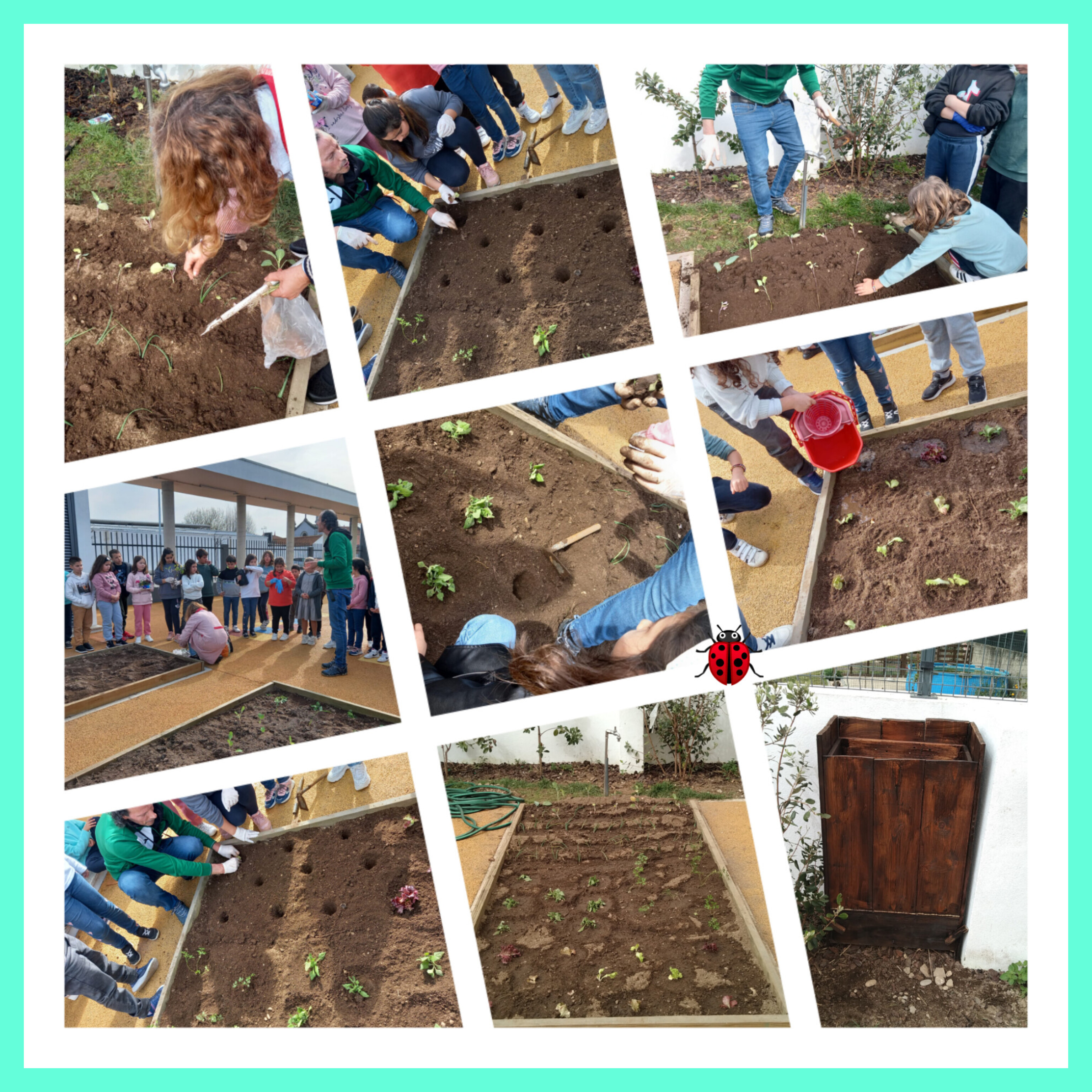Plantação do terreno
Os alunos trouxeram de casa algumas plantas (espinafres, couves, salsa, alfaces, cebolo, morangueiros...) e com o auxílio dos professores plantaram a horta, respeitando o espaço da mesma, no sentido de se apresentar bem organizada.