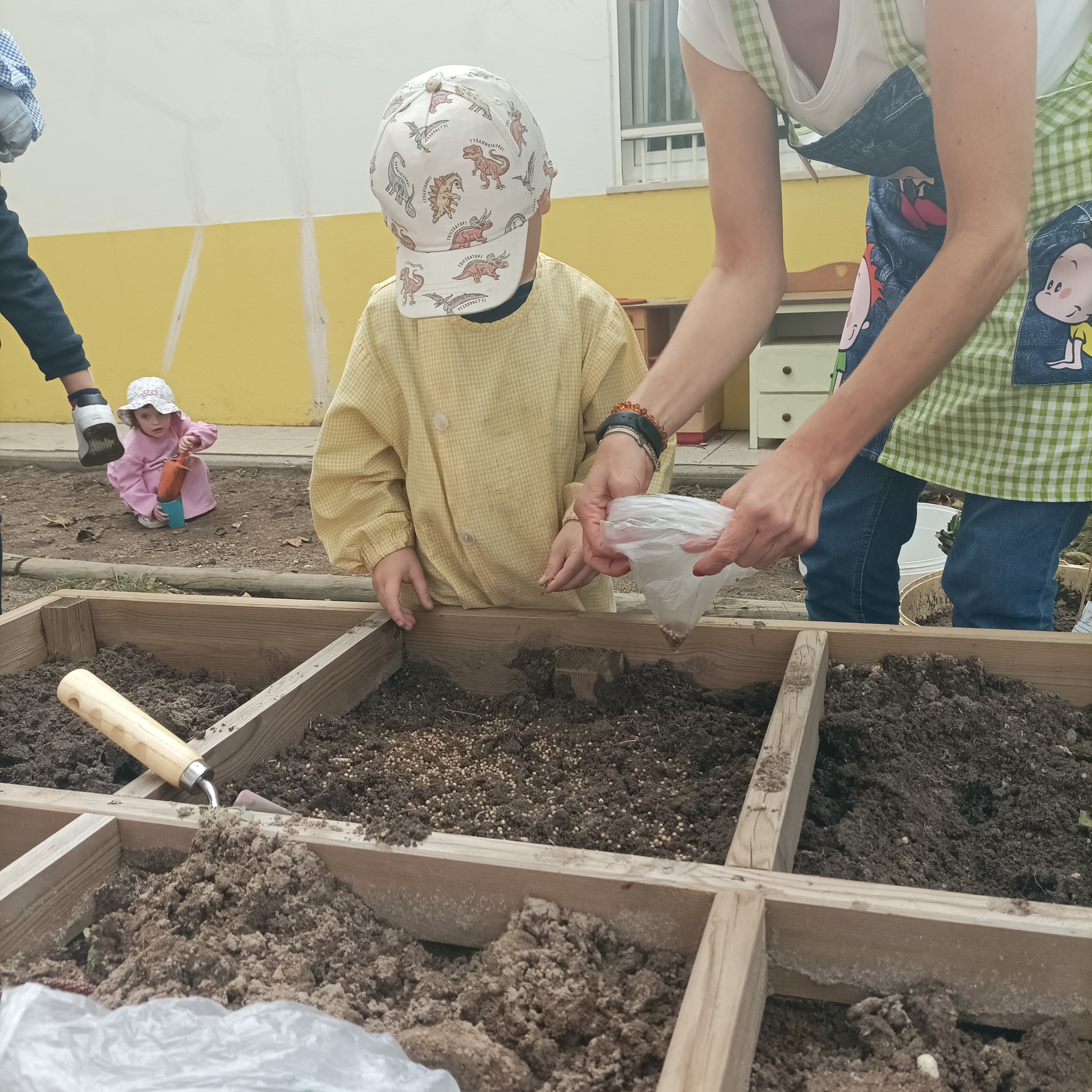 Plantar espinafres