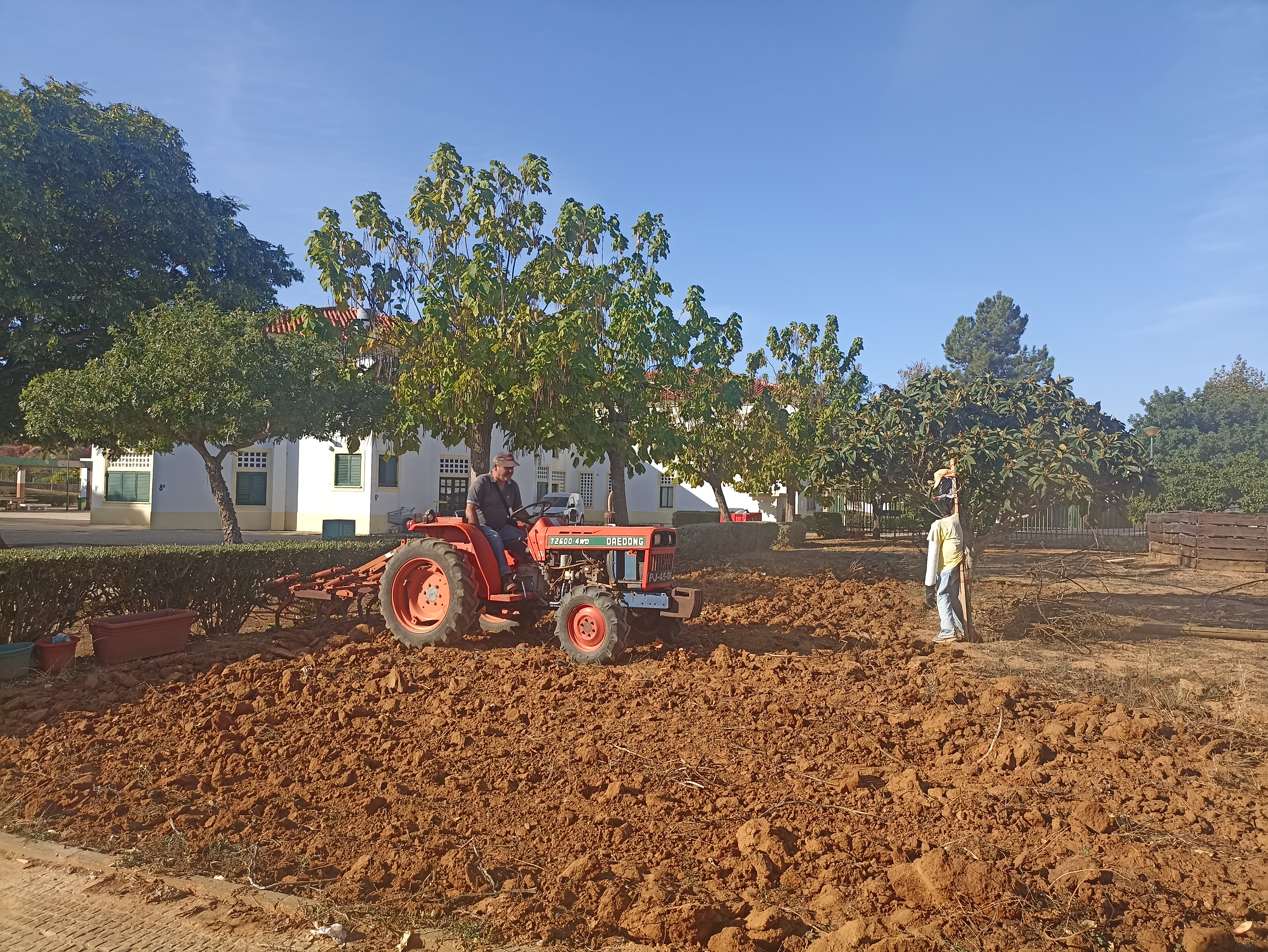 Auxílio de Encarregado de Educação na preparação do terreno da horta.