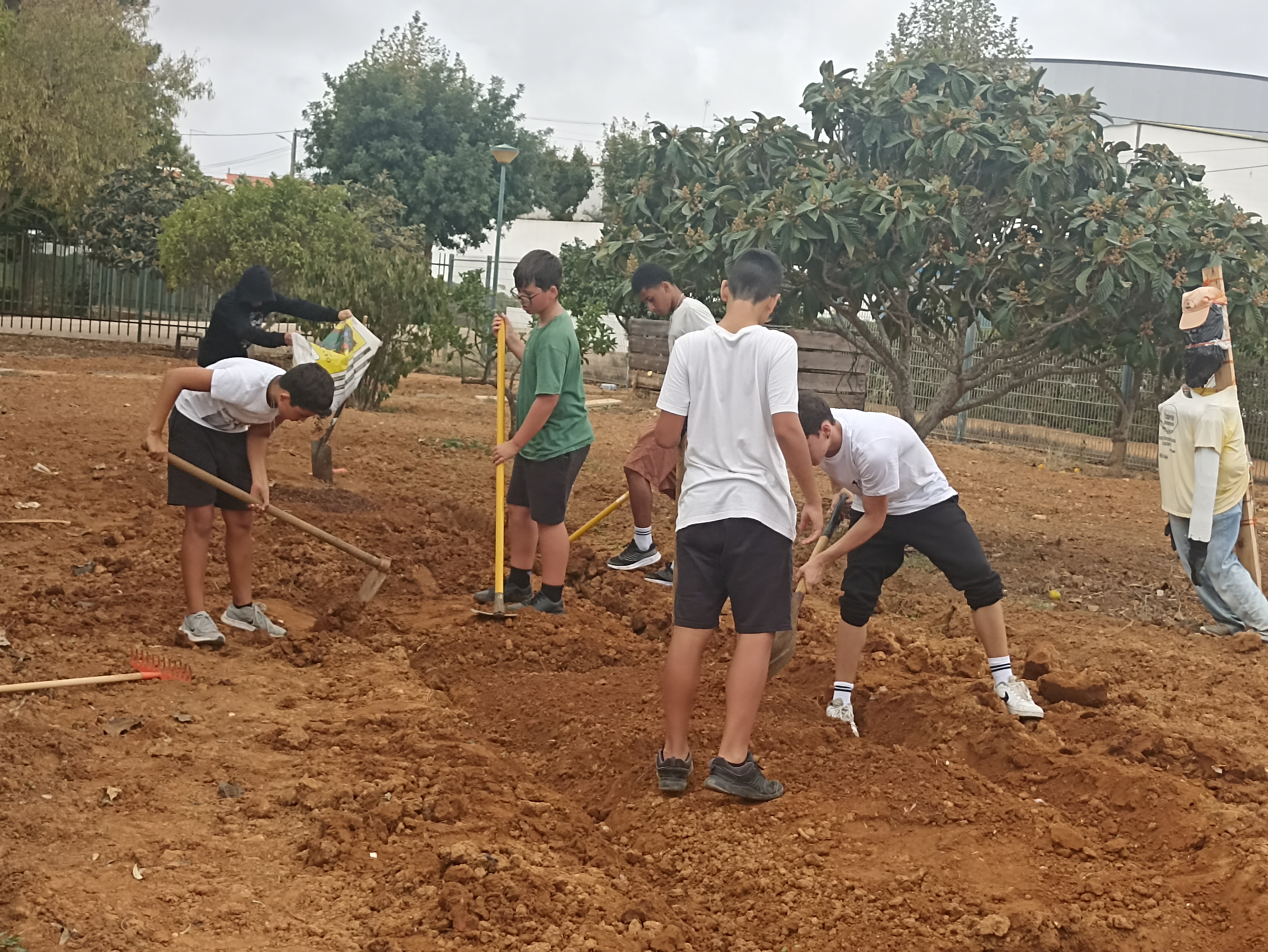 Preparação do terreno, por parte dos alunos do 8A.