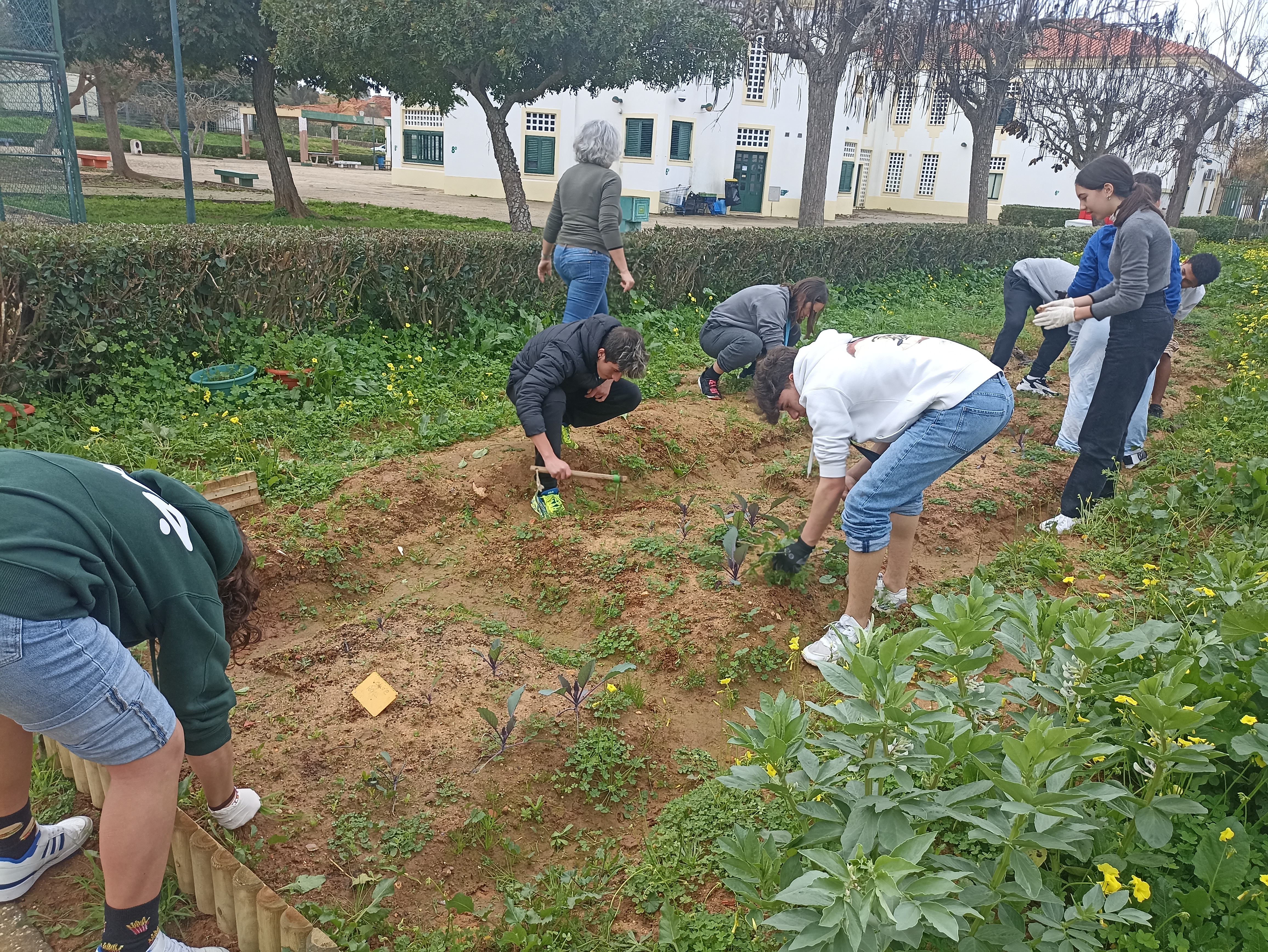 Remoção de ervas daninhas.