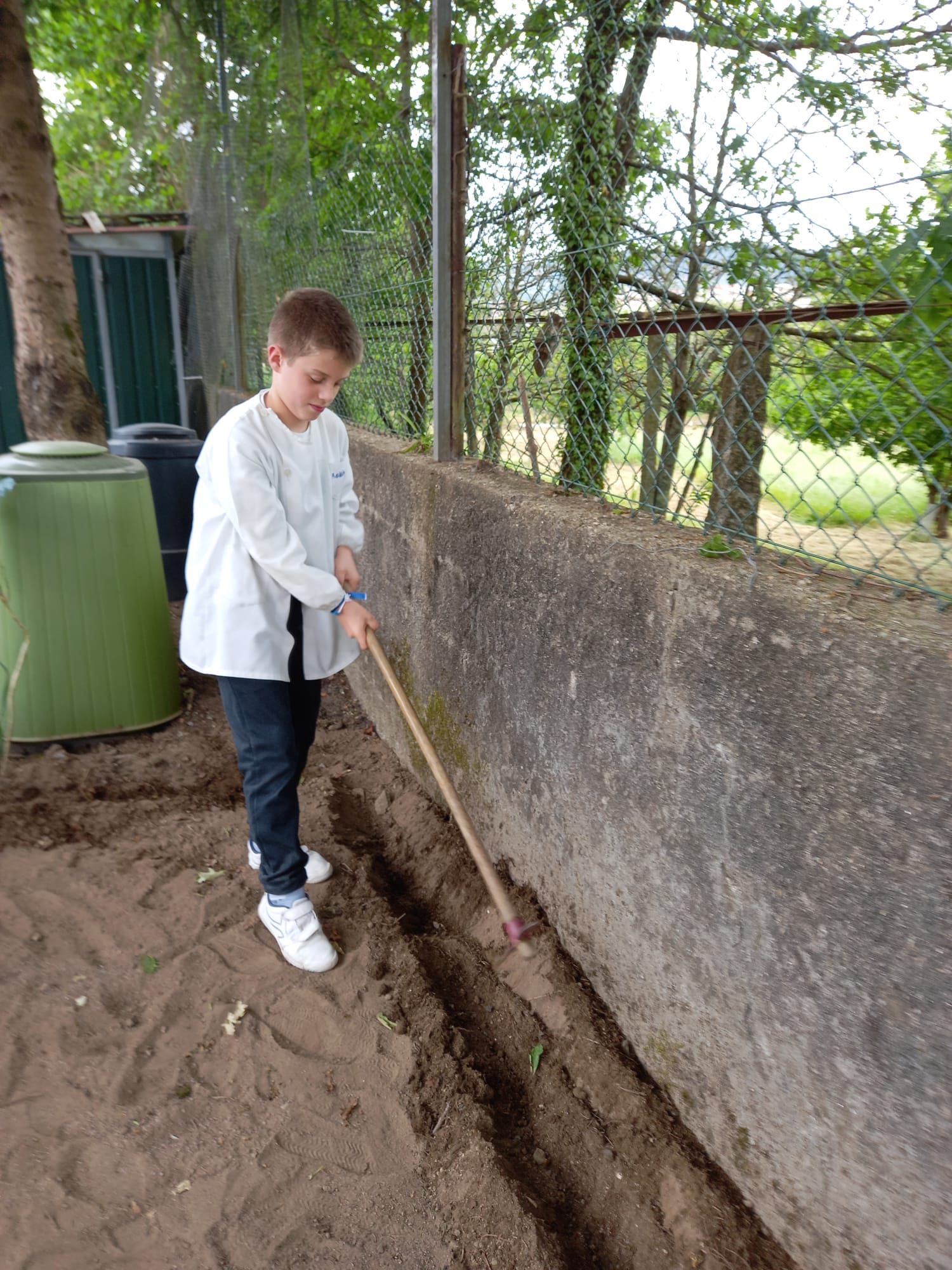 Preparação do terreno.