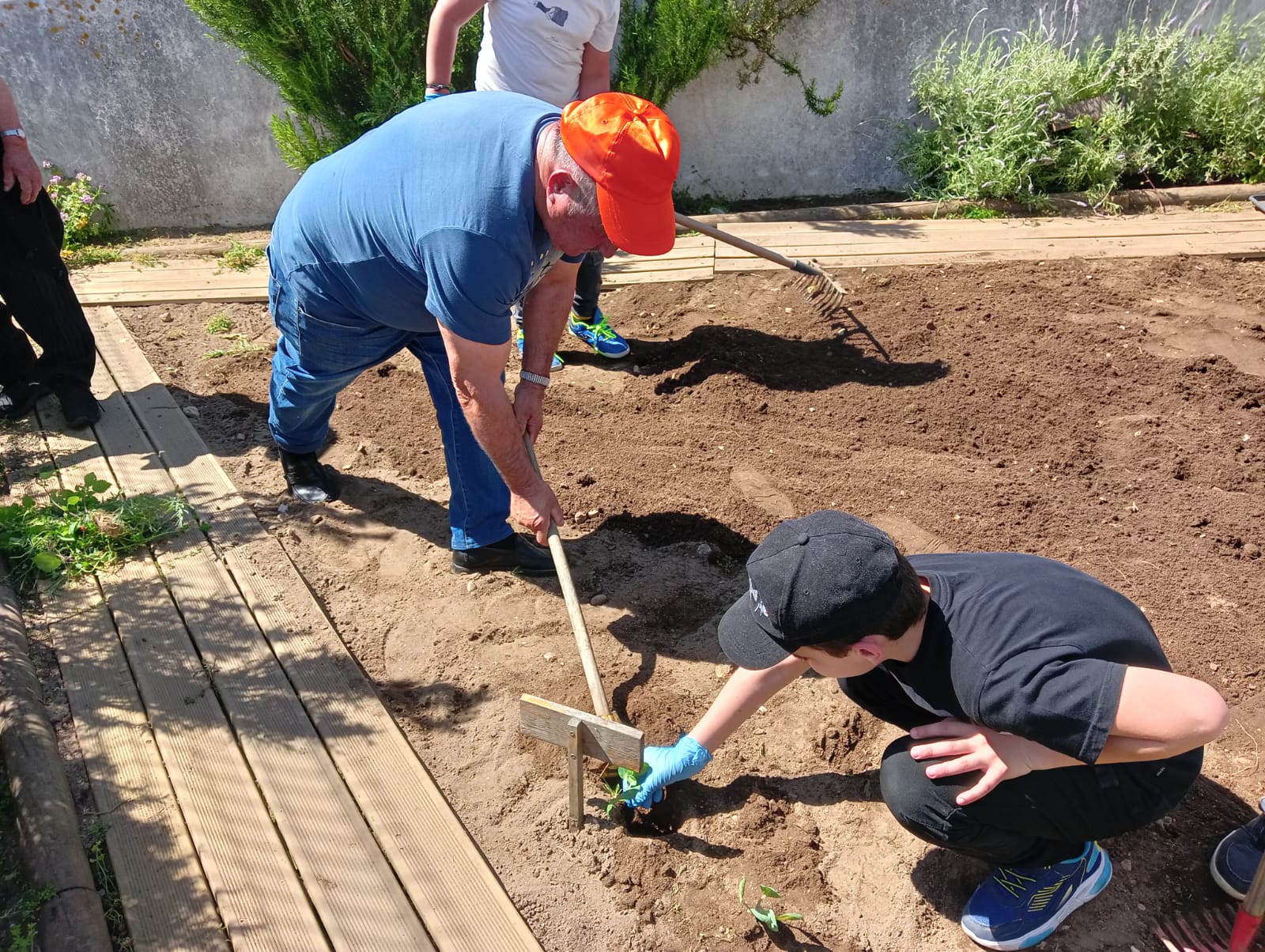 Alunos a plantar legumes na horta, com a ajuda de um dos utentes do Lar.
