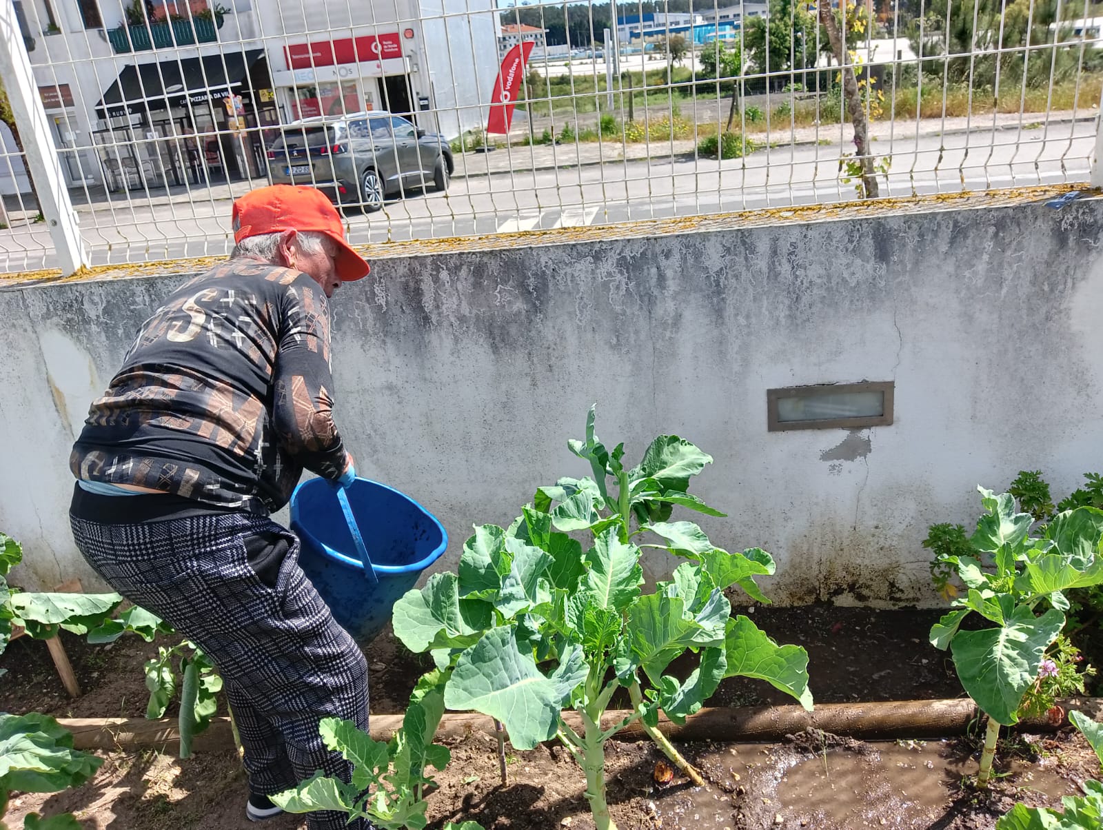 Colaboração da utente do Lar a regar a Horta.