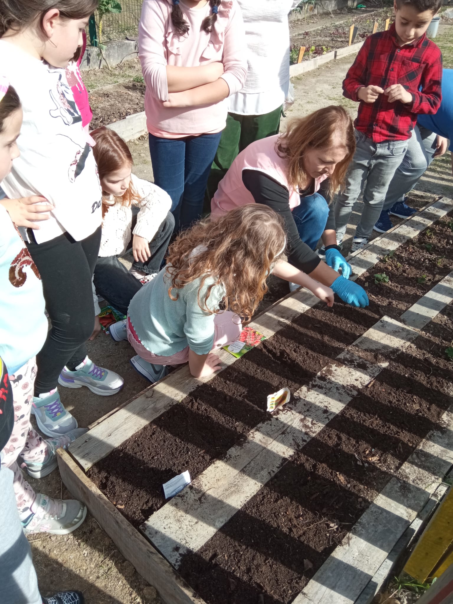 Nos meses de fevereiro e março fizemos algumas sementeiras: cenouras, tomates, alfaces, ervilhas, espinafres, batatas, cenouras... Também plantámos cebolo, couves, brócolos, alfaces...