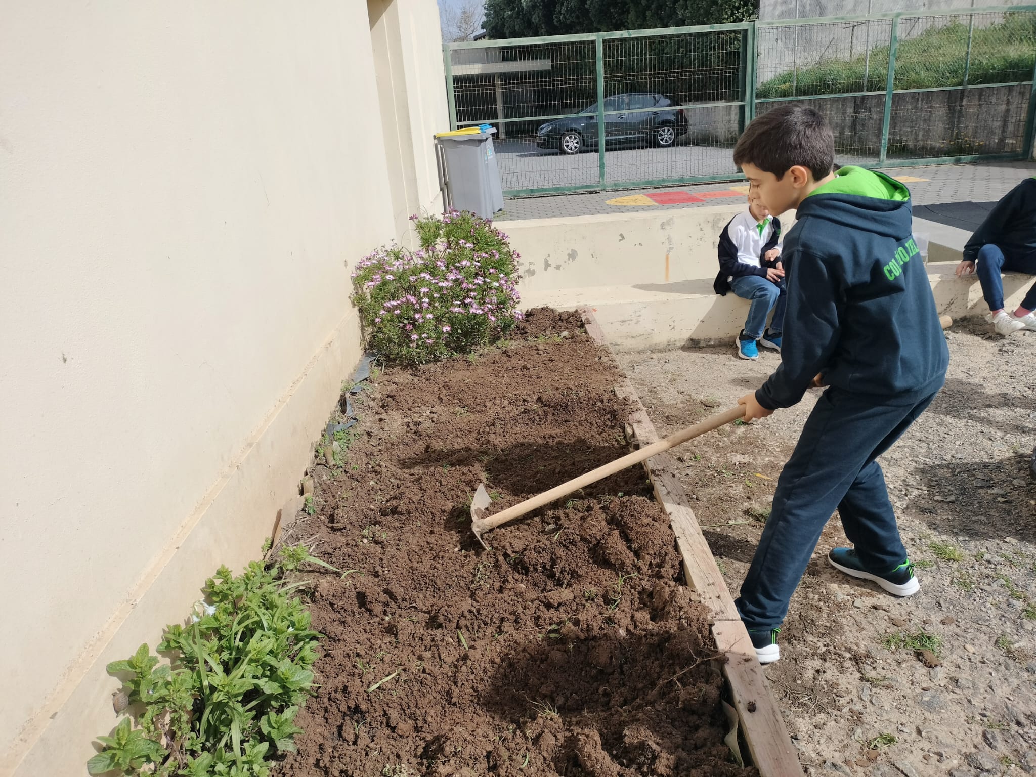 preparação da horta