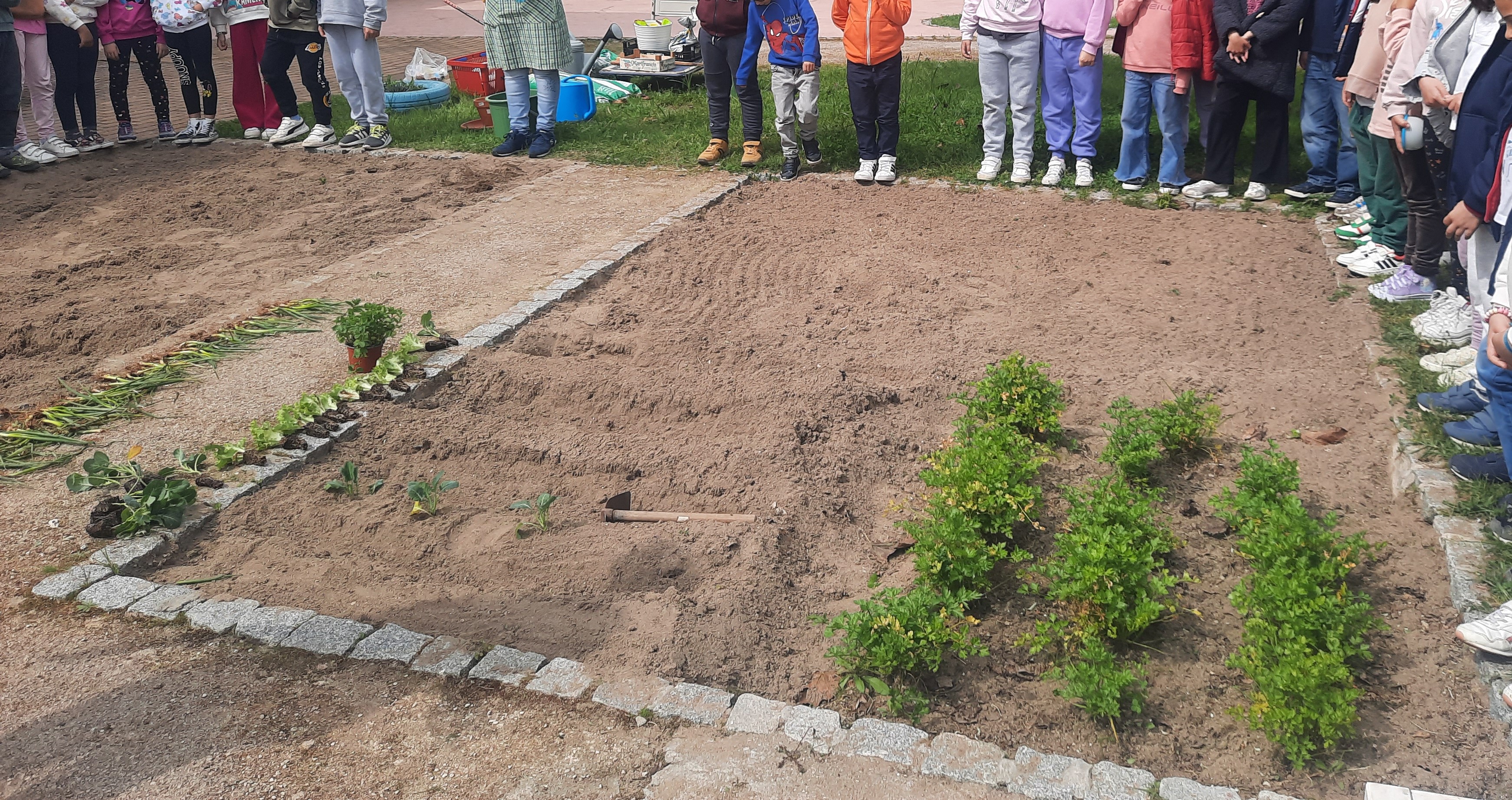Escutar, observar e experimentar! Mãos na terra, para plantar.