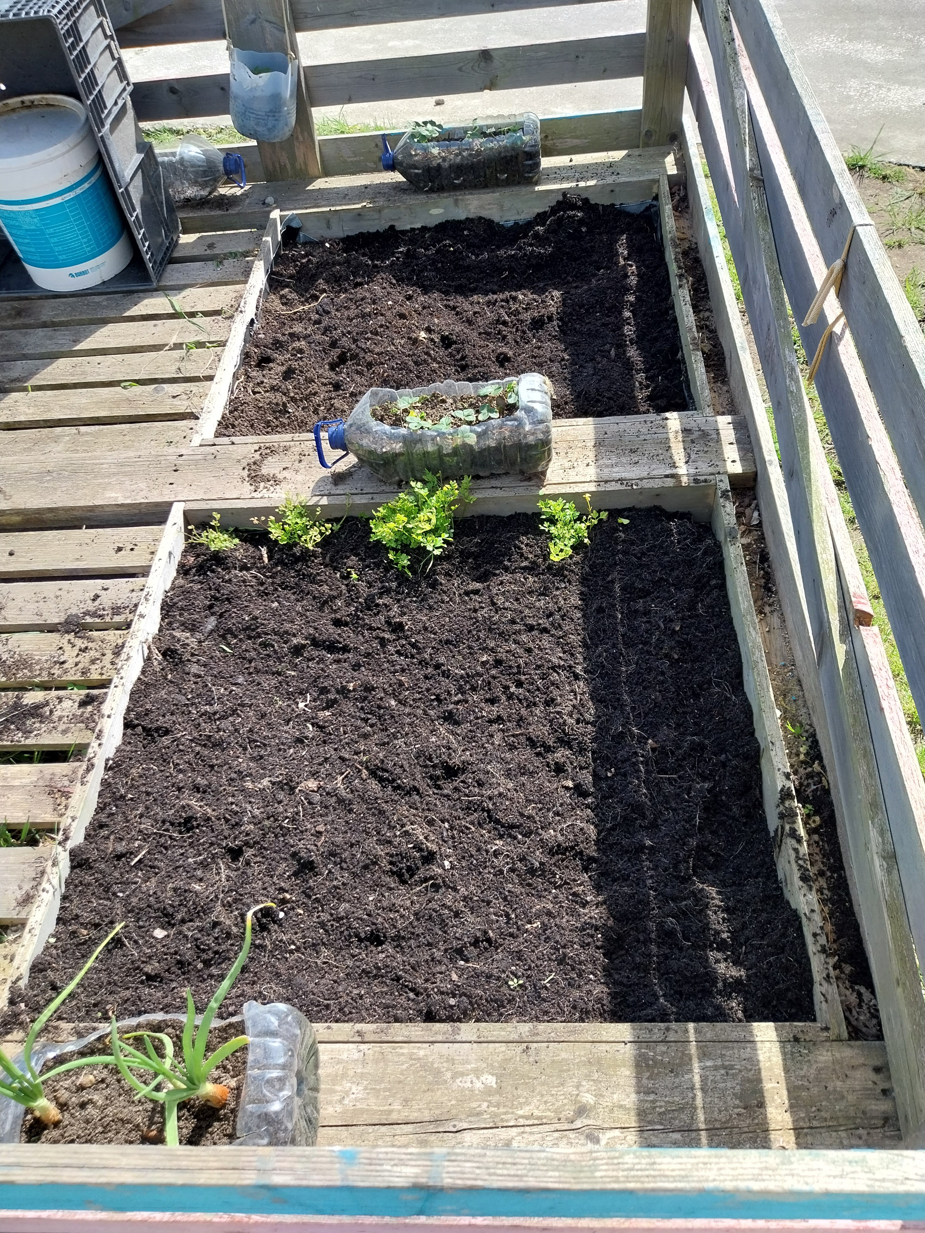 terreno preparado para o cultivo de produtos hortícolas