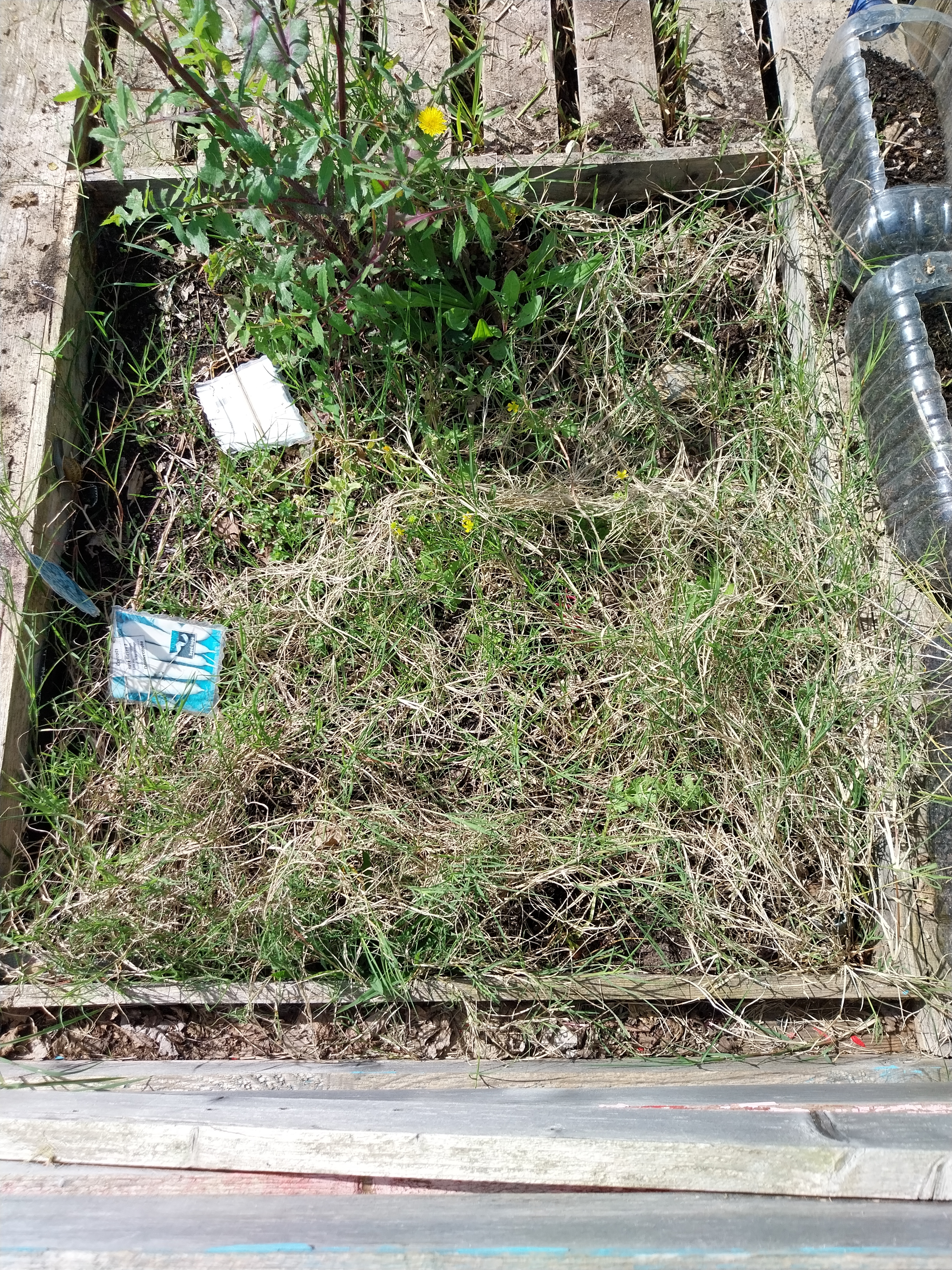 o ano transato participamos neste projeto e criamos um espaço cercado, assim demos continuidade ao mesmo espaço. Limpamos de ervas daninhas, cavamos