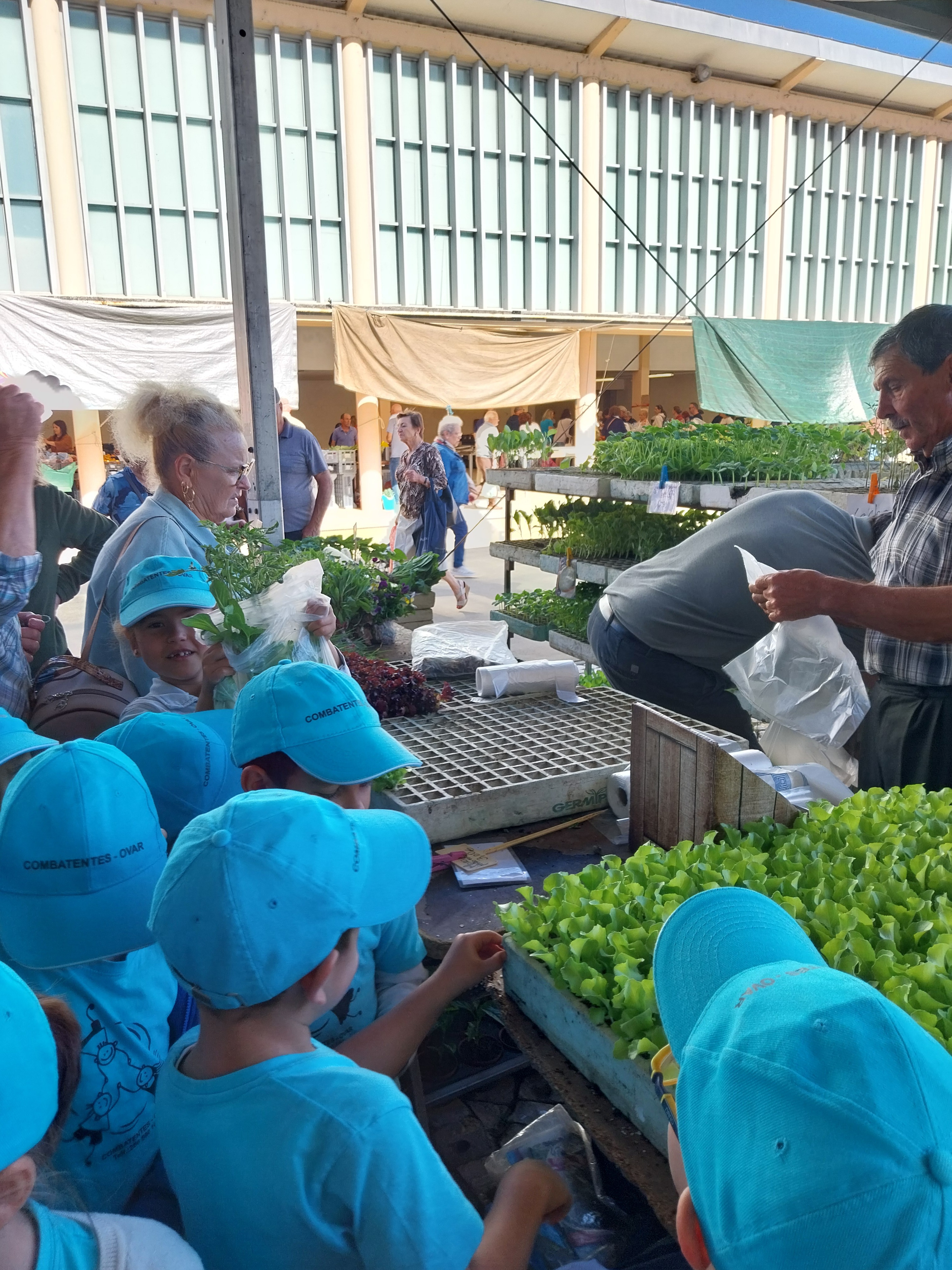 Fomos ao mercado comprar os produtos hortícolas para semear