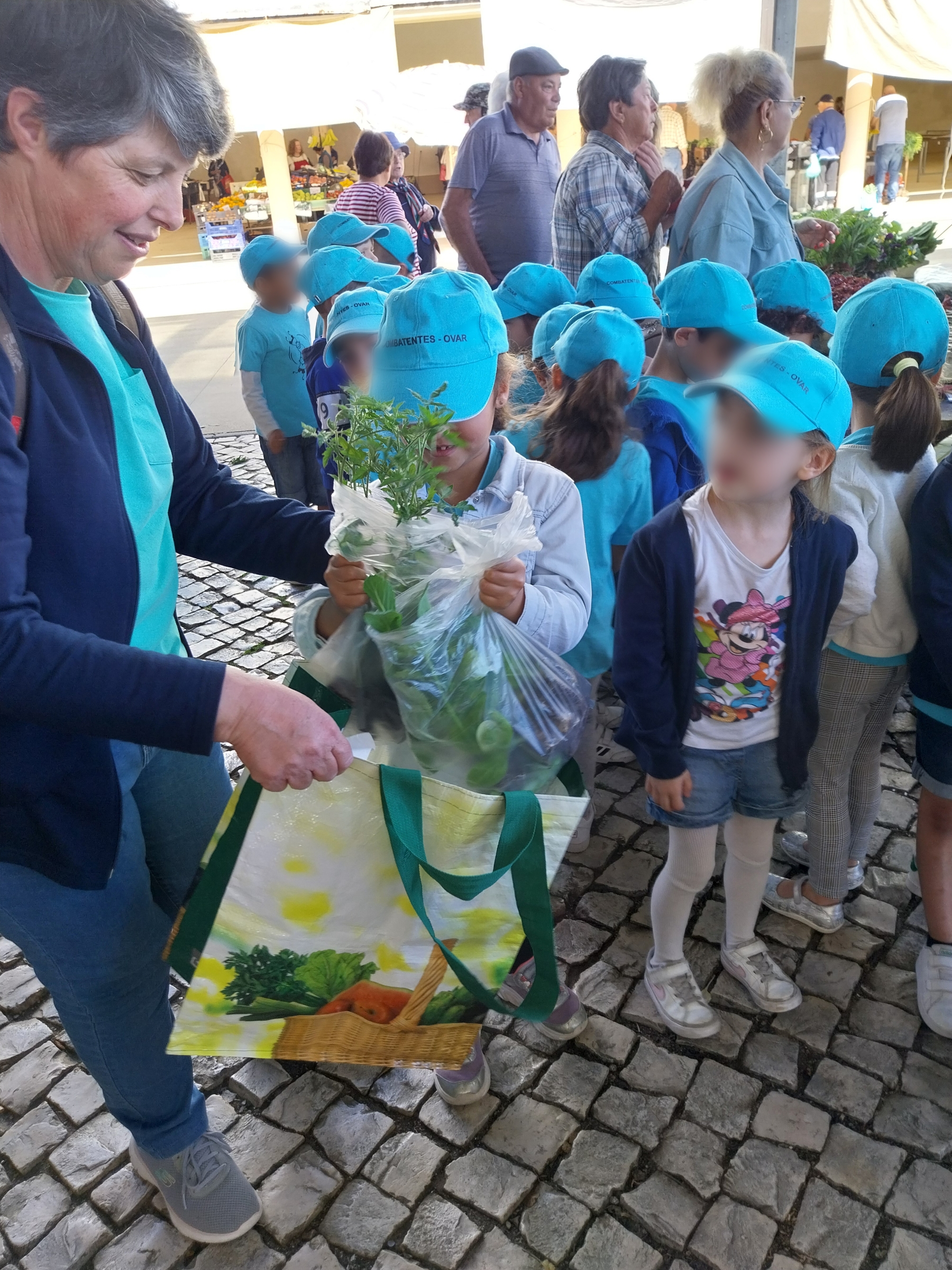 Fomos ao mercado comprar os produtos hortícolas para plantar