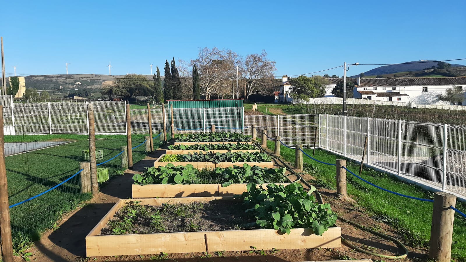 3ª fase da bio-horta
