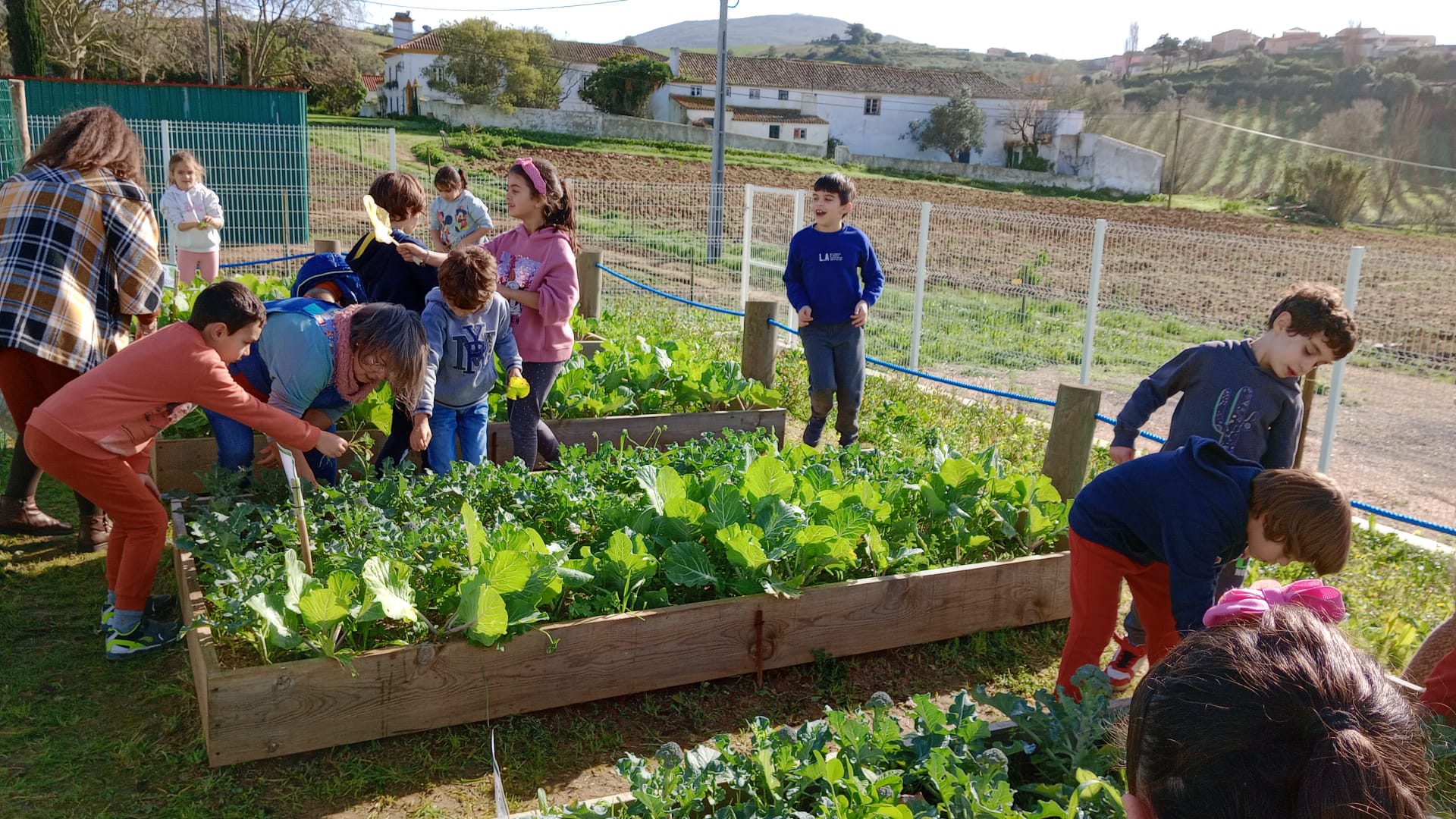 3ª fase da bio-horta