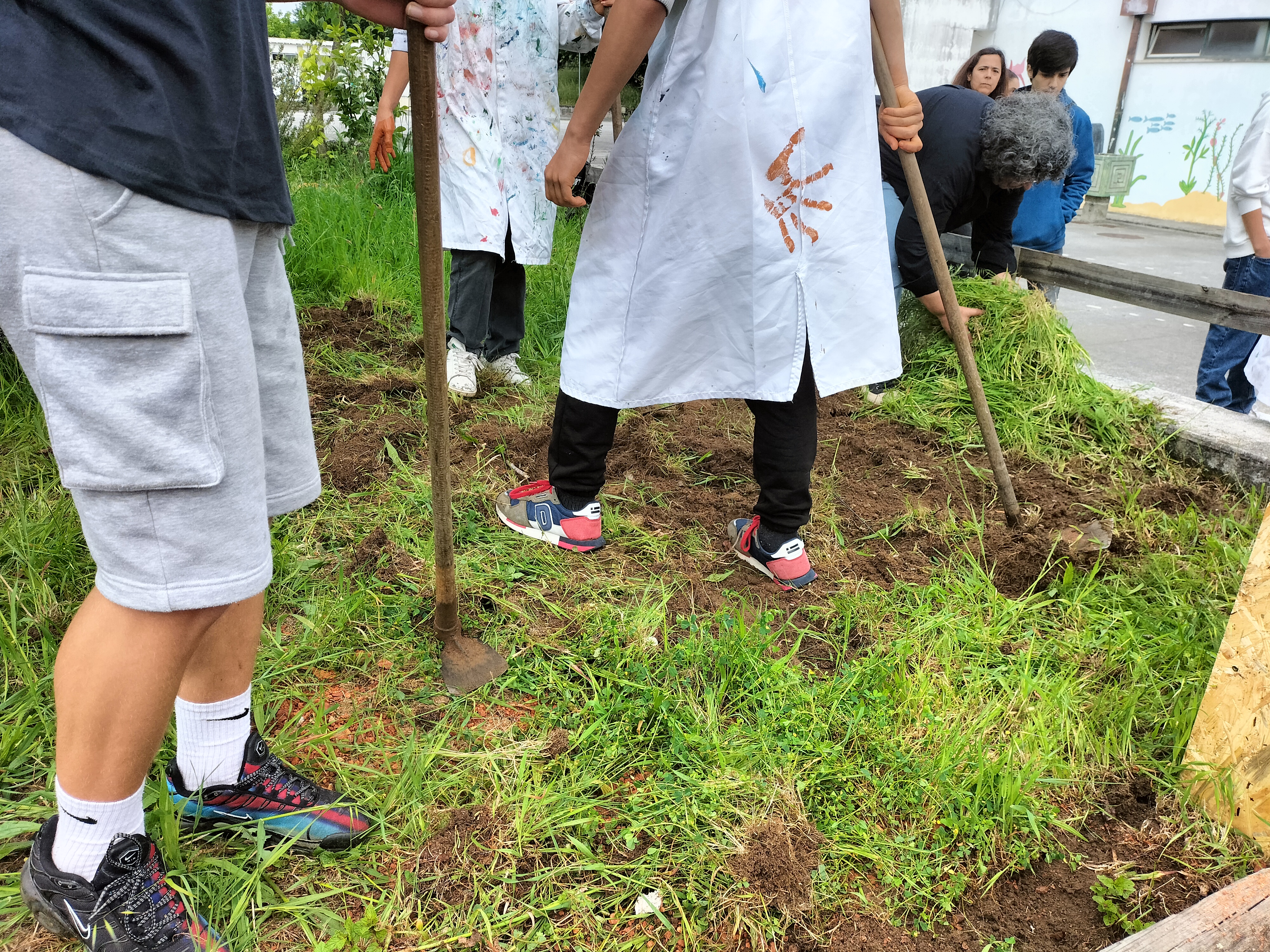 Limpeza da horta pelos alunos do 9.º ano - espaço não ocupado pelas culturas