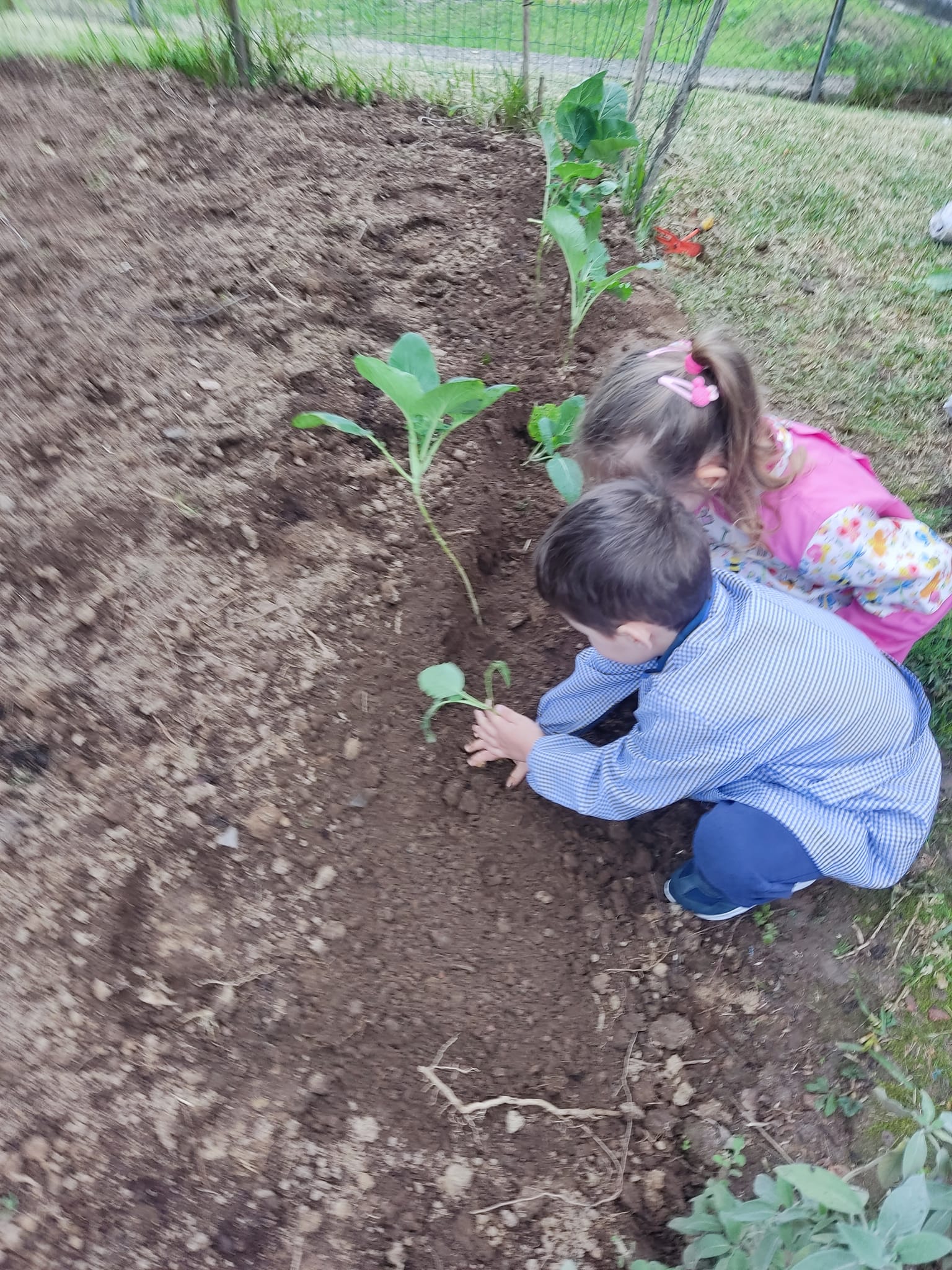 Horta e as primeiras plantações