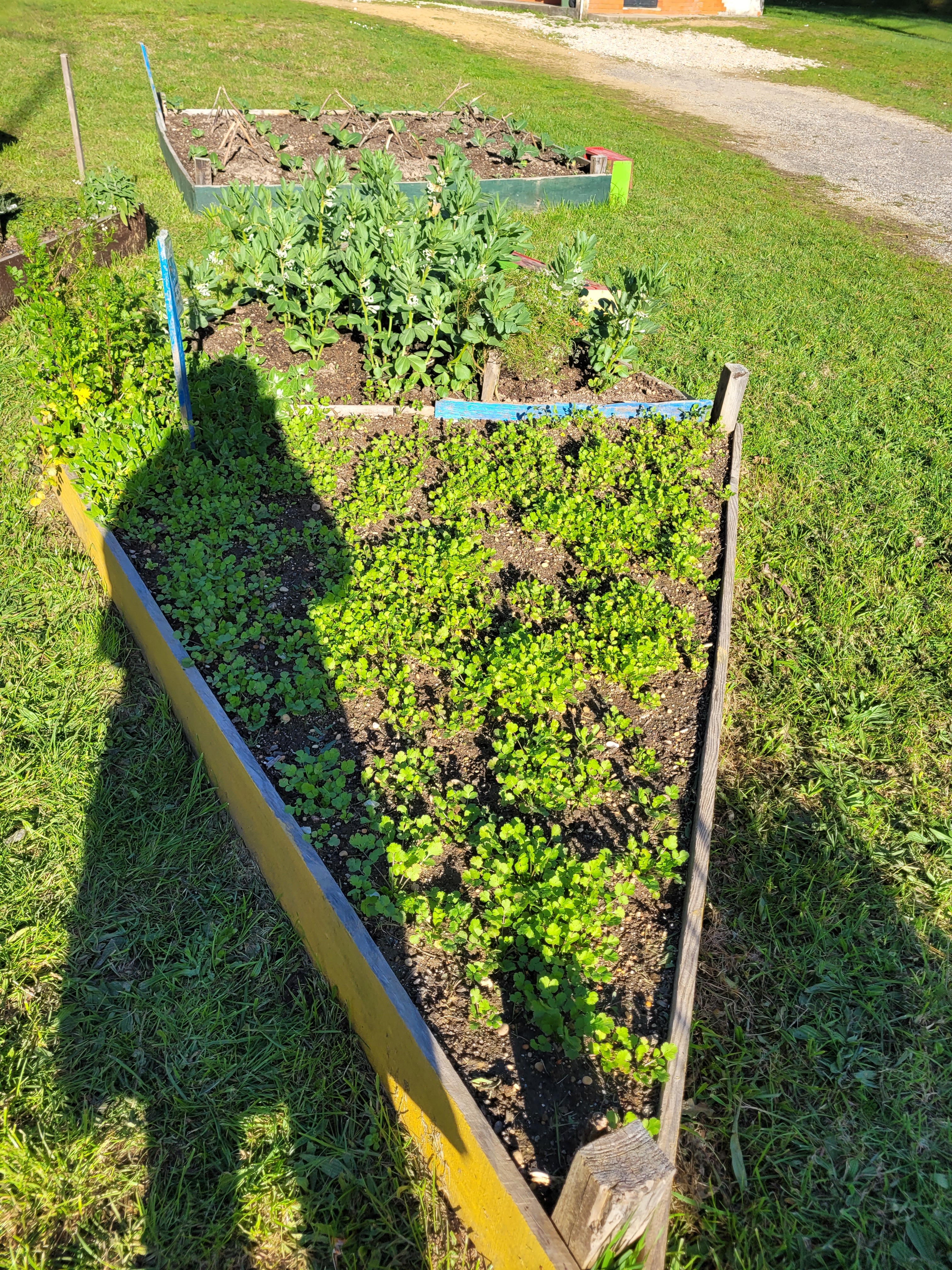 Plantações diversificadas (favas, aromáticas)