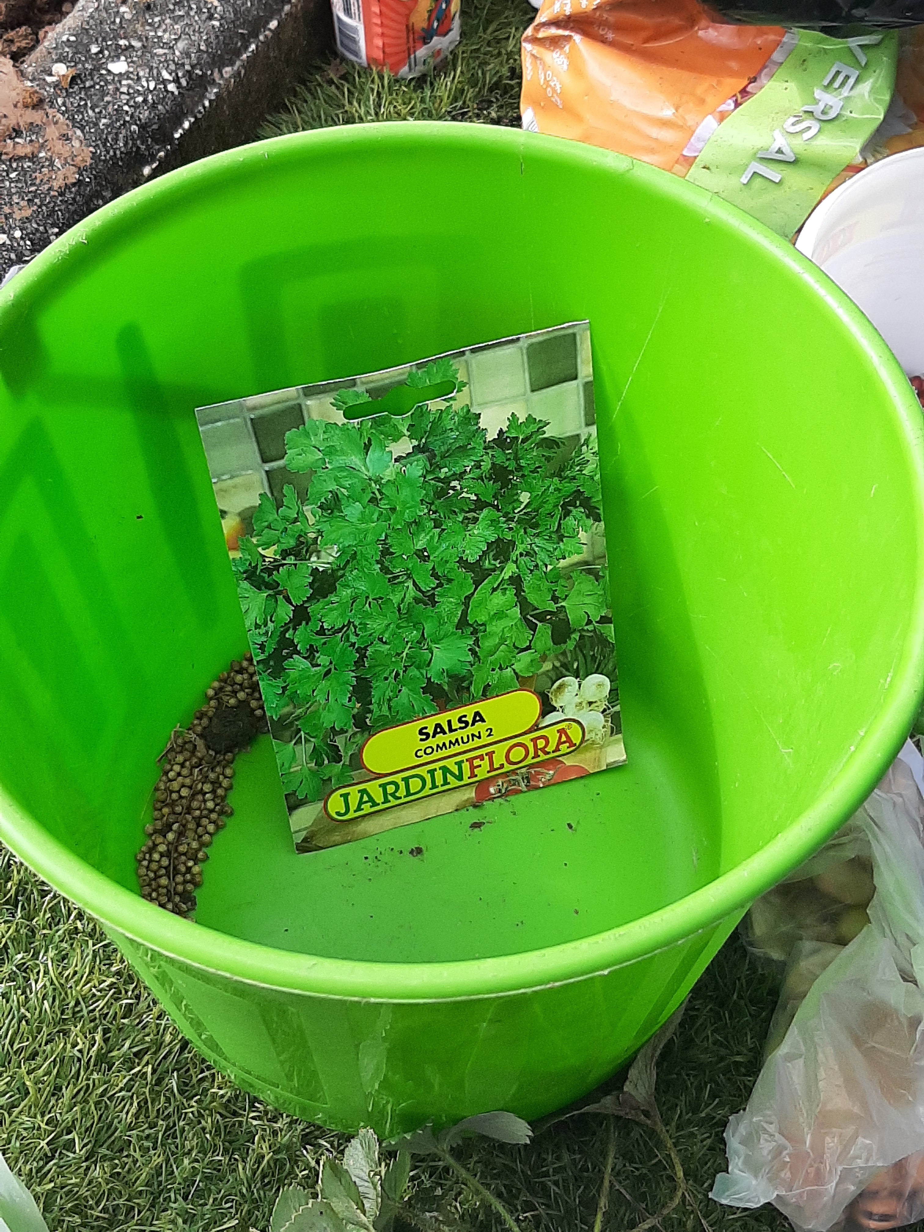 Plantação de legumes, hortícolas e leguminosas.