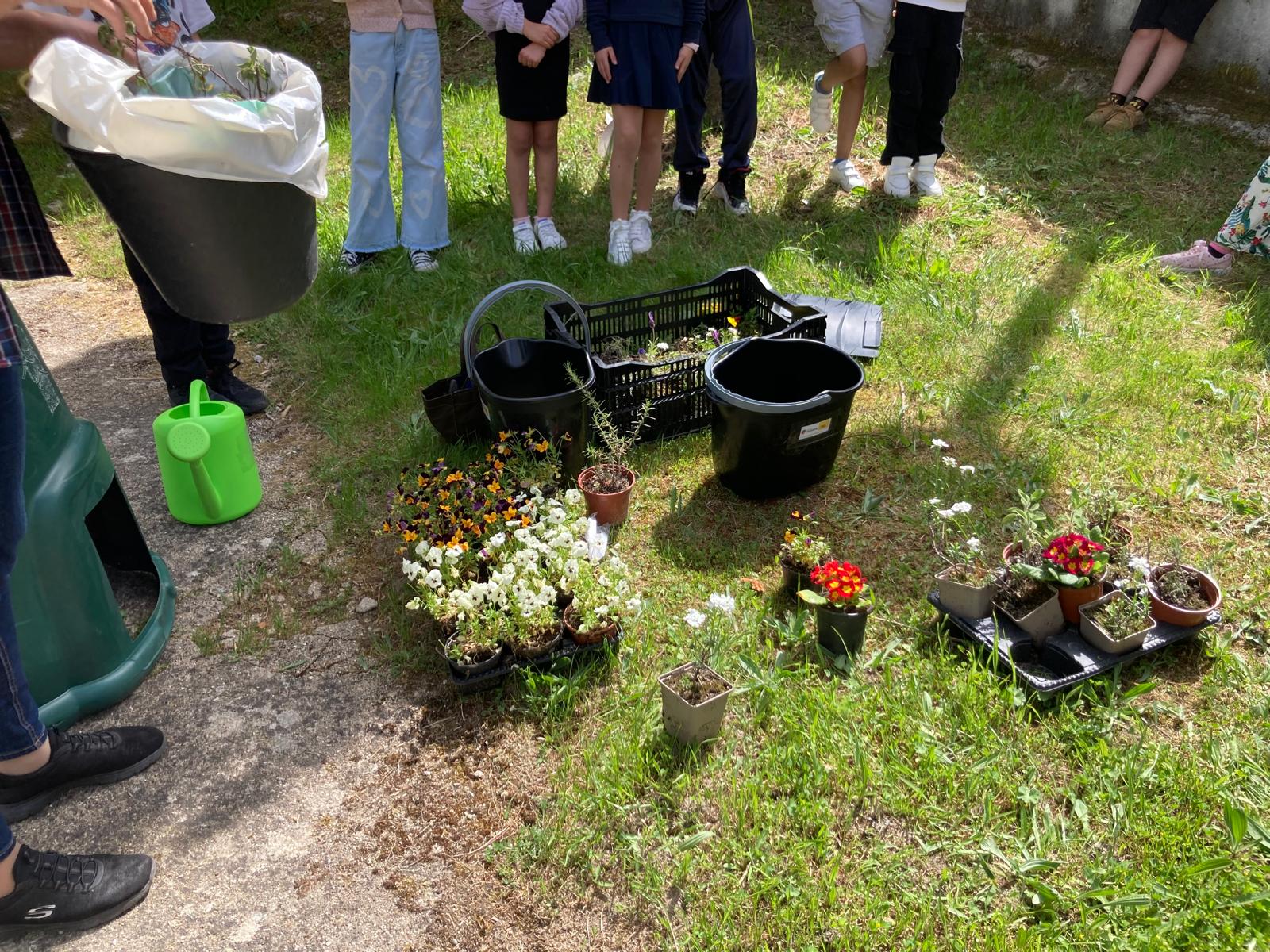Conhecer as plantas antes de irem para a terra