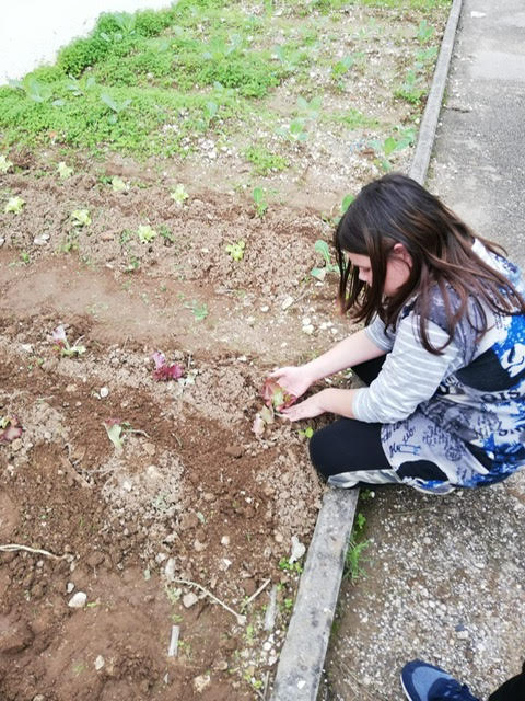 Aluna a semear