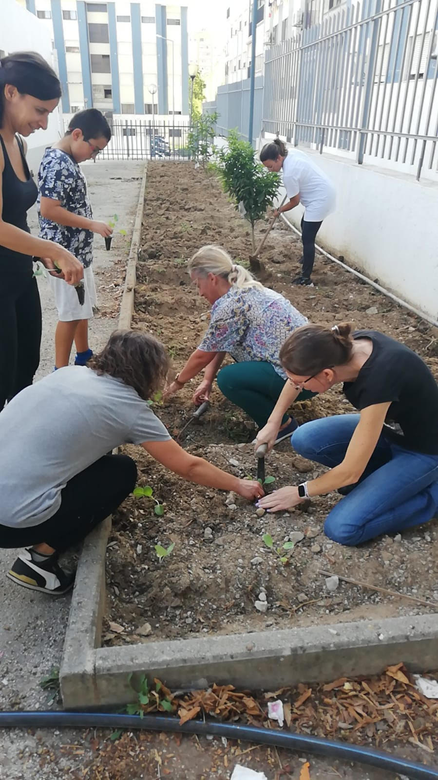 Comunidade educativa a cuidar da horta biológica.