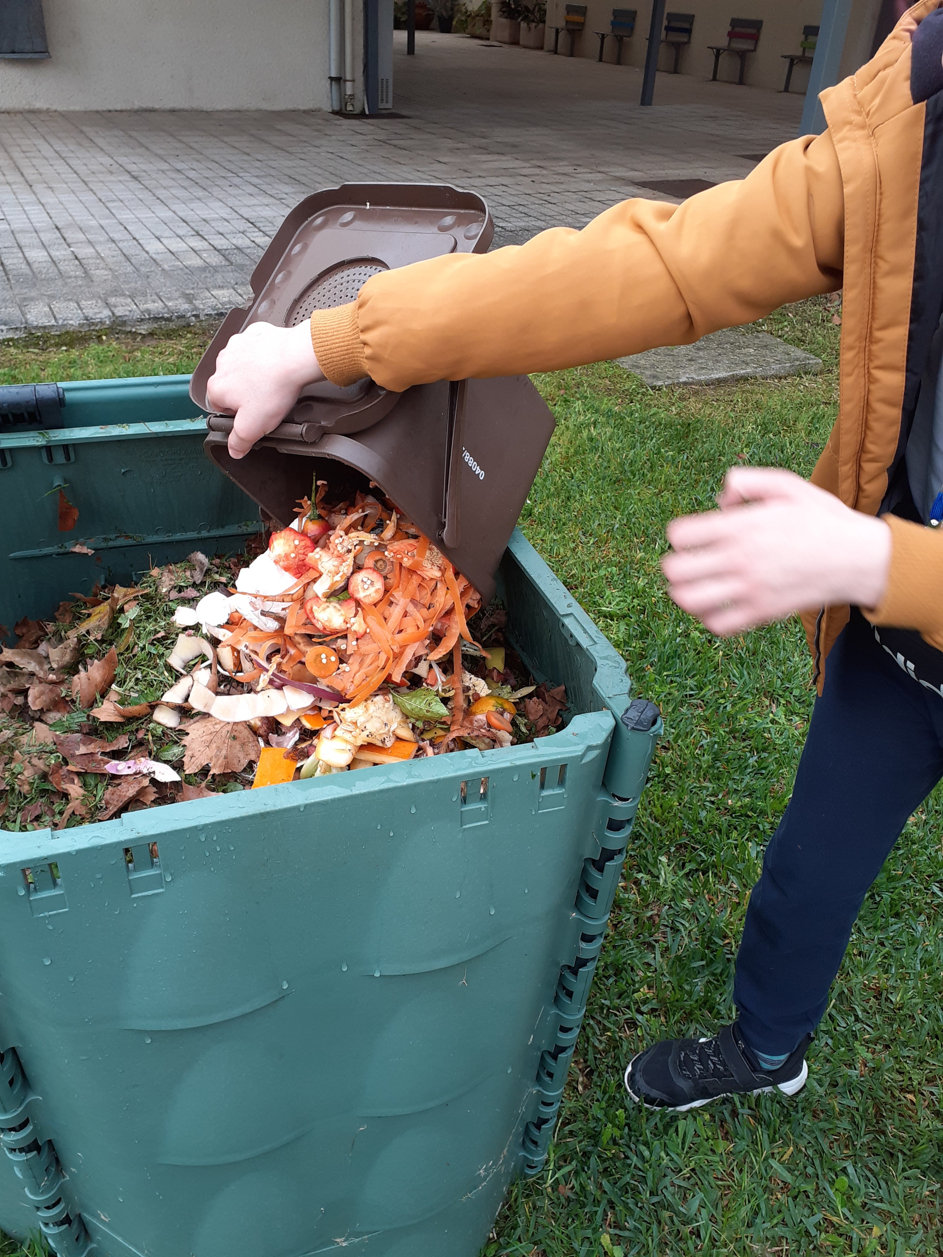 A par da horta deu-se continuidade ao compostor, tendo a manutenção sido contínua, contando com  a colaboração de resíduos orgânicos do refeitório e com o outono que encheu o chão do recinto escolar de imensas folhas oriundas das árvores que o constituem.