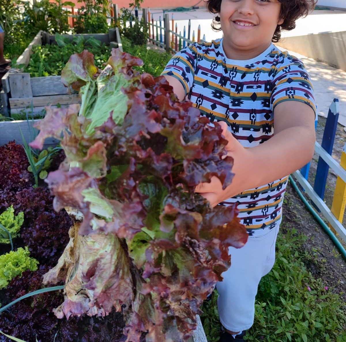 Os hortícolas são colhidos pelos alunos para sortear pelas turmas.