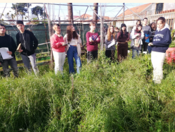 Em janeiro 2023 iniciou-se a criação do spot de biodiversidade que está mencionado no projeto como “Ecossistema Michel Giacometti” e conta com a orientação científica e pedagógica da ANIME e do Projeto Há Vida na Quinta. A atividade foi feita por etapas.