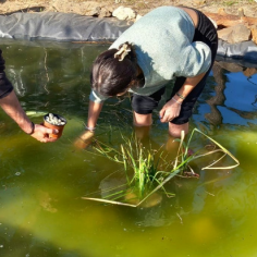 27 fevereiro: a preparação do solo dos talhões da horta e a colonização do charco com espécies autóctones.
15 março: plantação de alfaces, courgettes, tomates, beringelas, pimentos, cebola roxa e espinafre, e estacaria de alfazemas e à plantação de murta