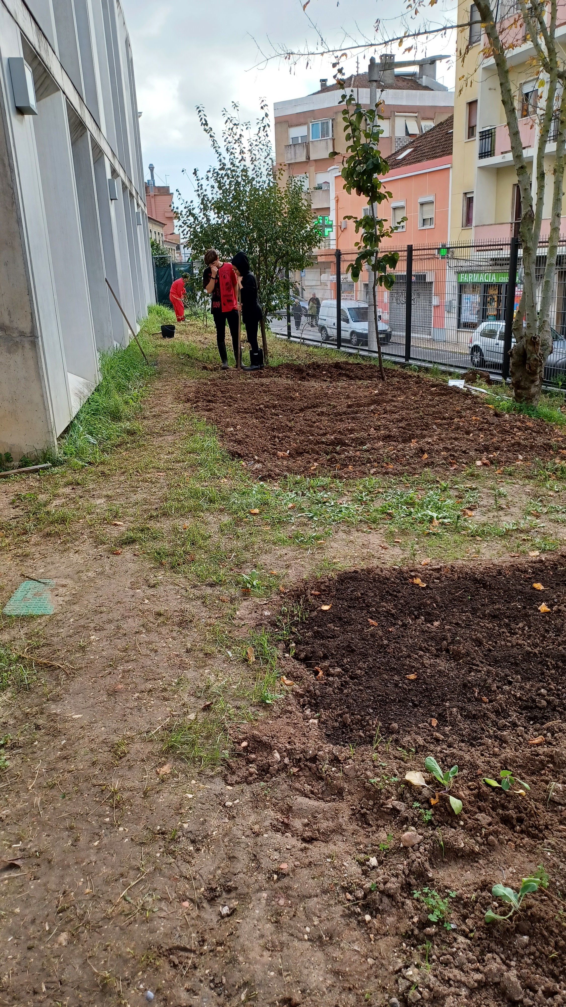 Preparação do solo onde se vão plantar diversas espécies vegetais