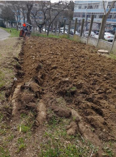 Mobilização do terreno com trator da Junta de Freguesia