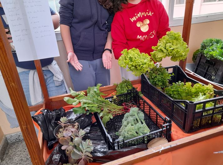 Mercado biológico, venda de produtos da horta
