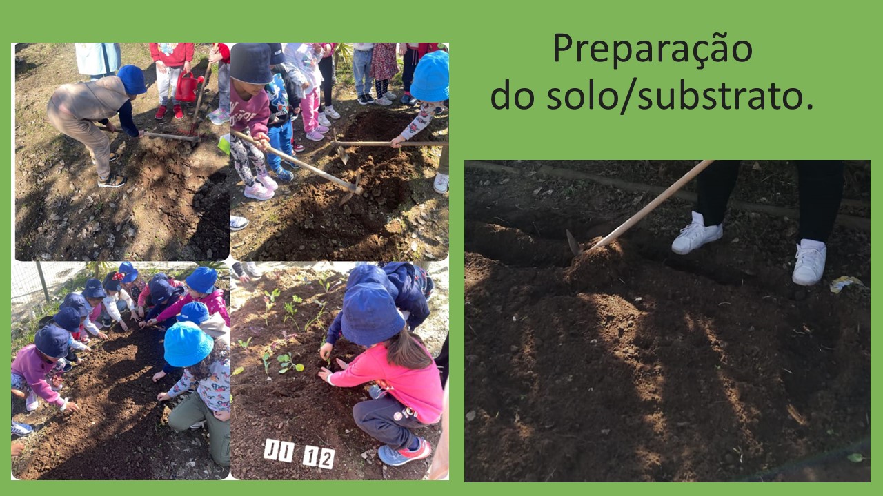 Preparação do solo/substrato.