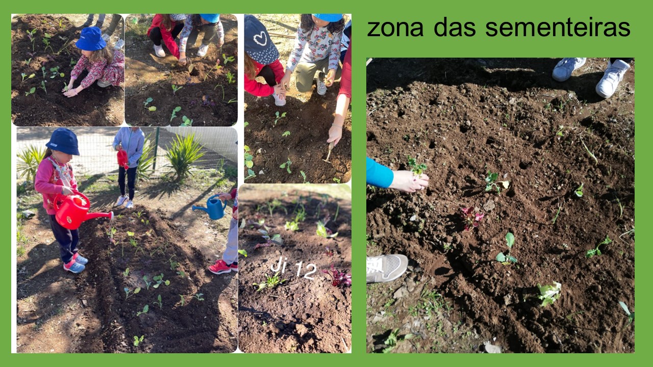 zona das sementeiras.