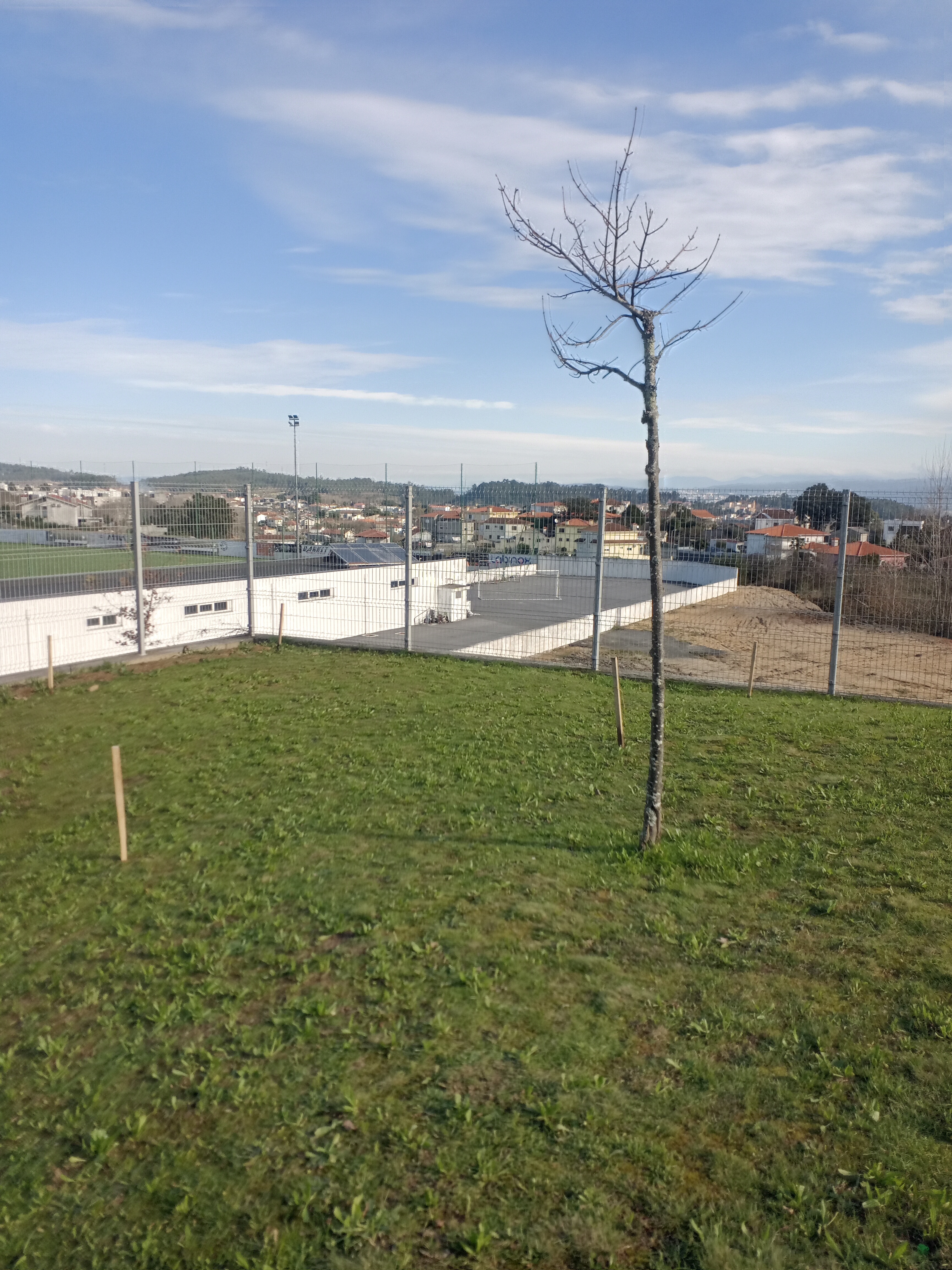 Espaço escolhido, na escola, para a elaboração da horta.