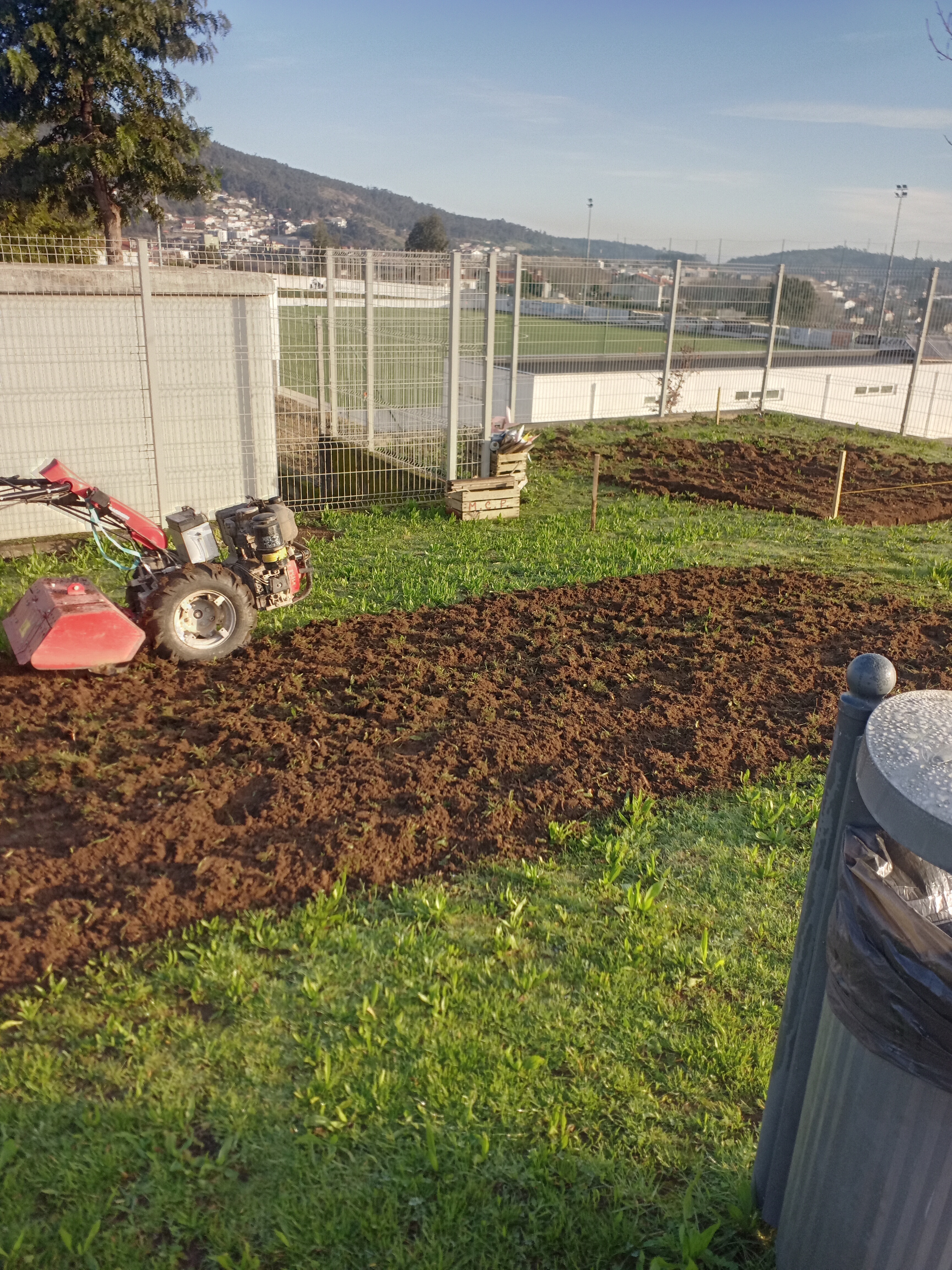 Preparação do terreno para cultivo, com cooperação dos Encarregados de Educação.