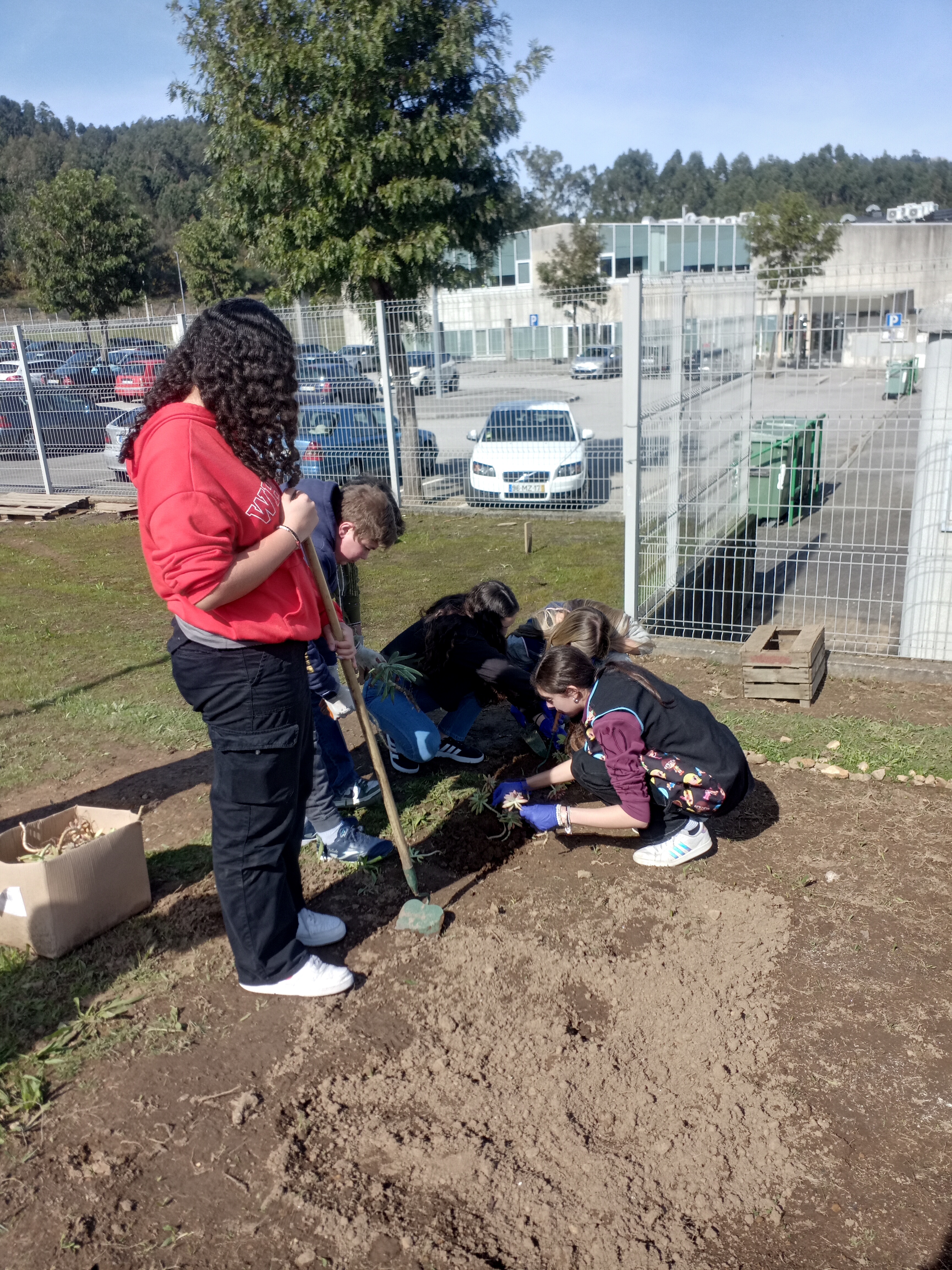 Delimitar a horta com plantação de espécies florais, com alunos dos 9.º anos.