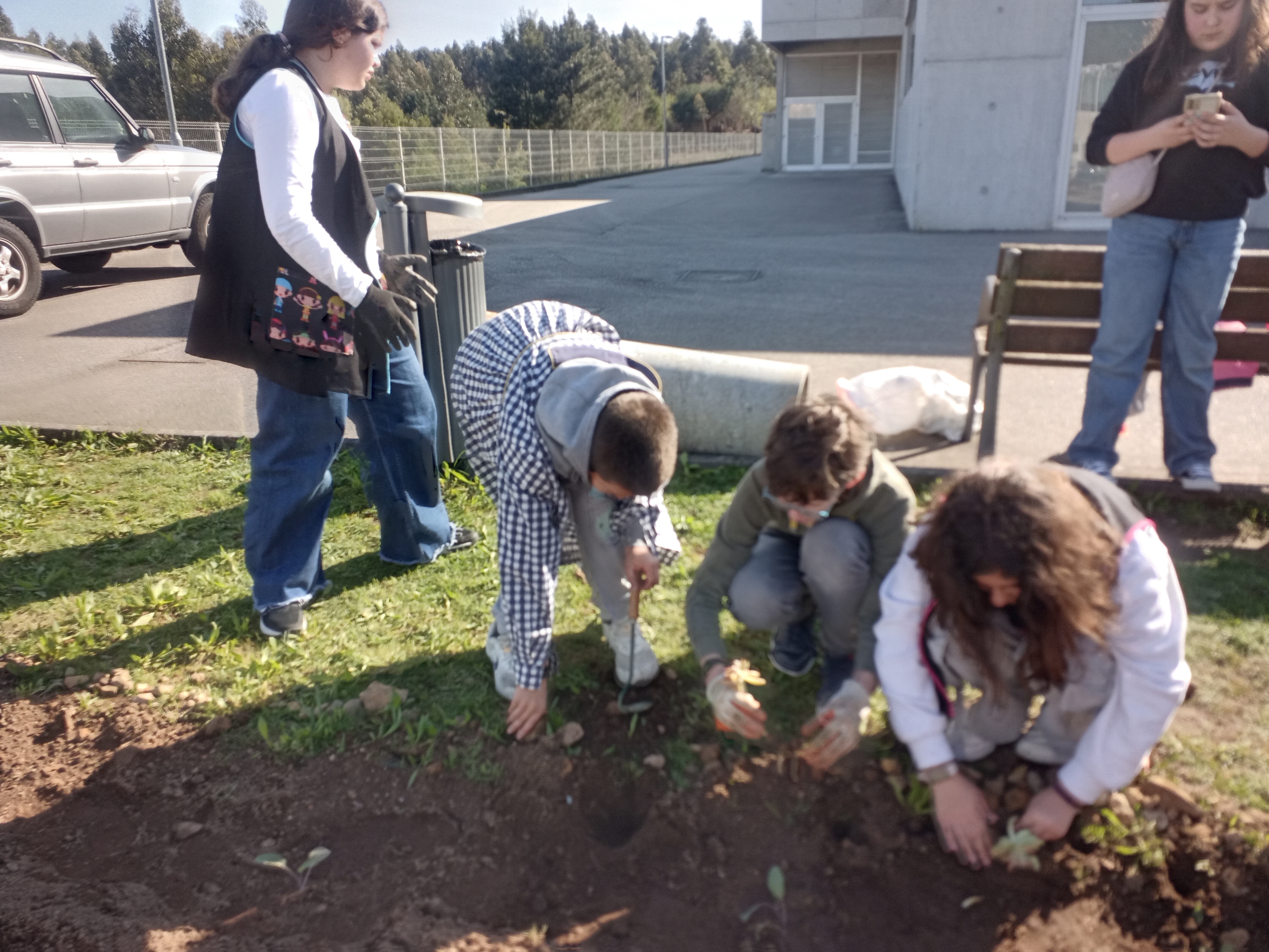 Delimitar a horta com plantação de espécies florais, com alunos dos 6.º anos.
