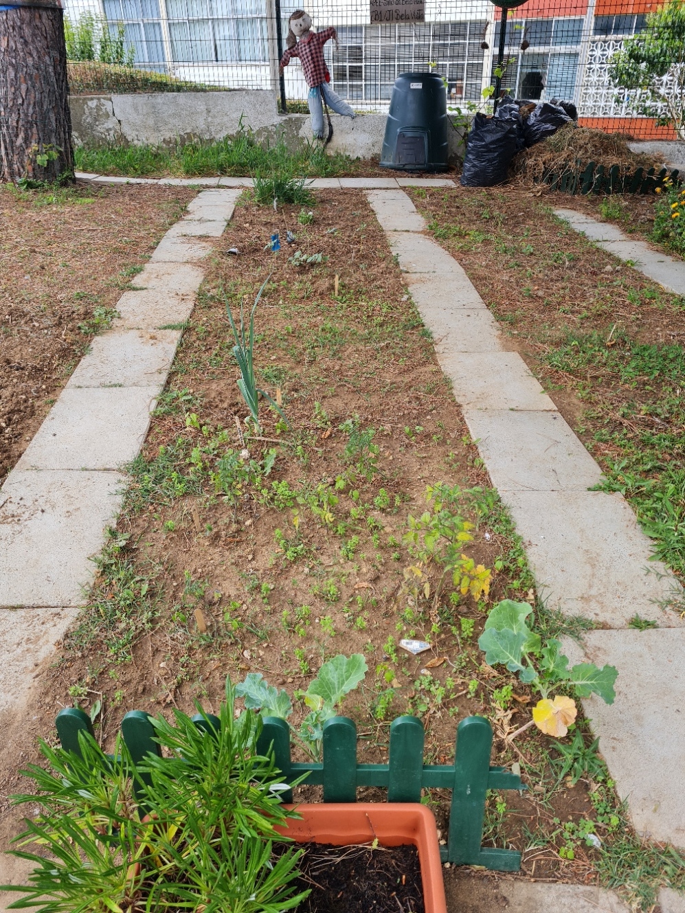 Horta em abandono após serem retiradas algumas ervas daninhas que foram colocadas para compostagem.