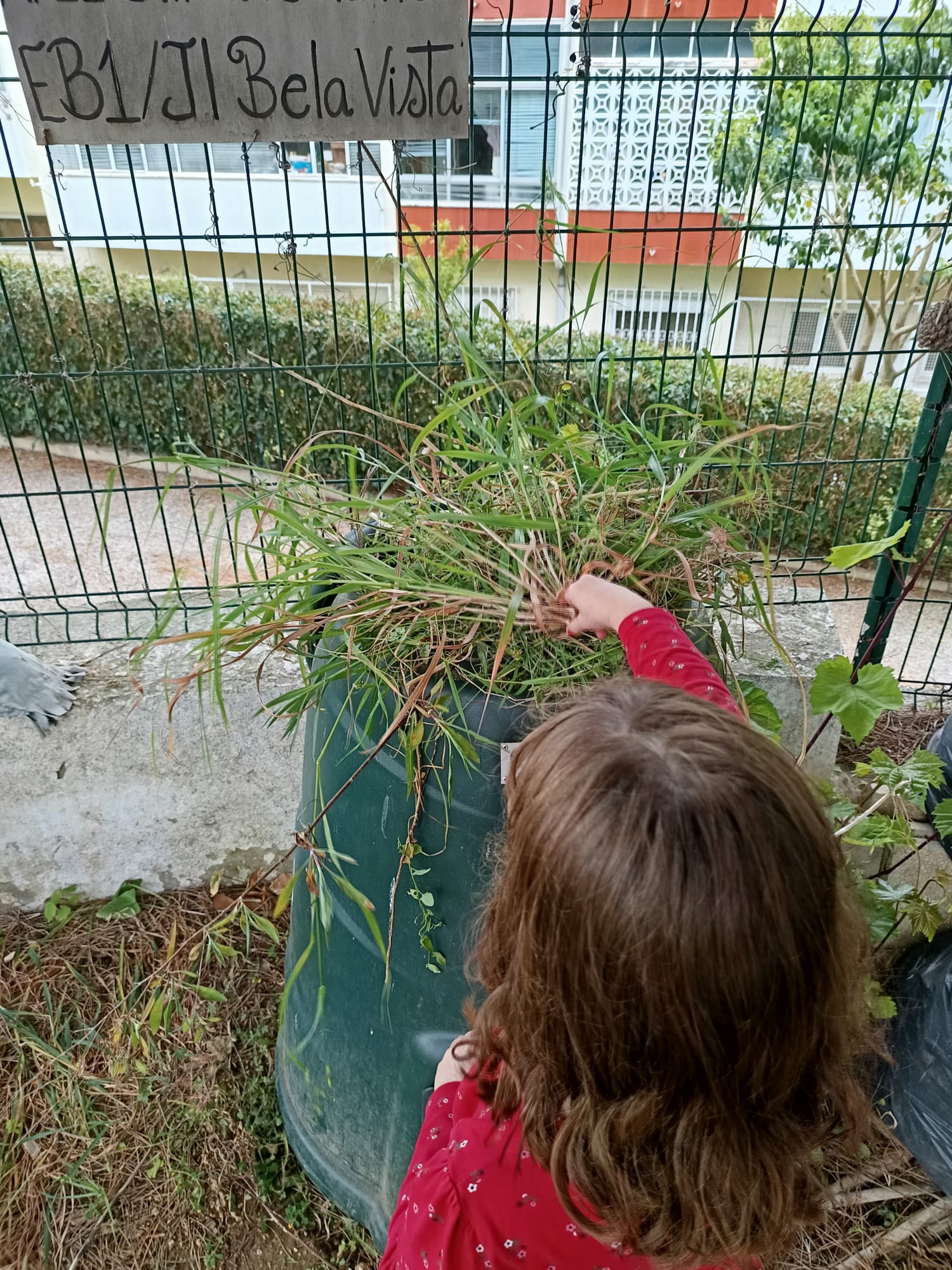 Compostagem.