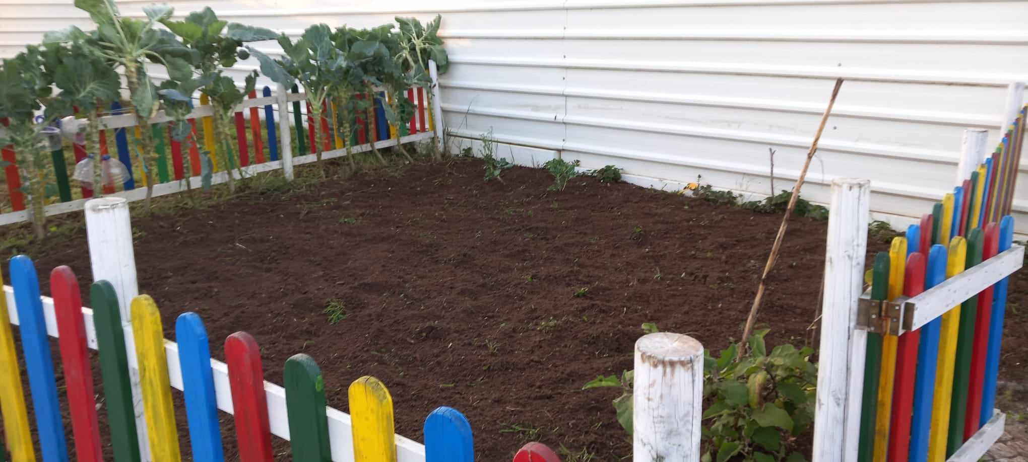 Preparação do terreno da horta