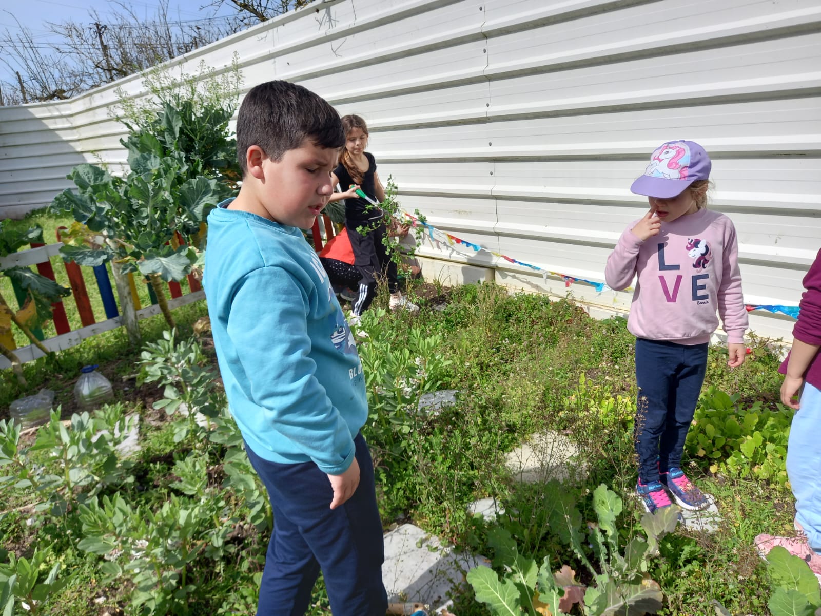 Os alunos quando foram à Horta depararam-se com uma horta repleta de ervas. Cada grupo teve a responsabilidade de cuidar do espaço da sua planta, retirando as ervas e regando.