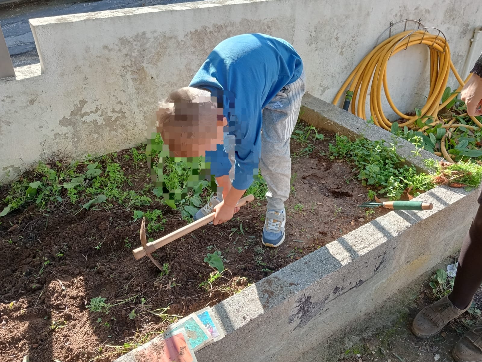 Preparação do solo.
