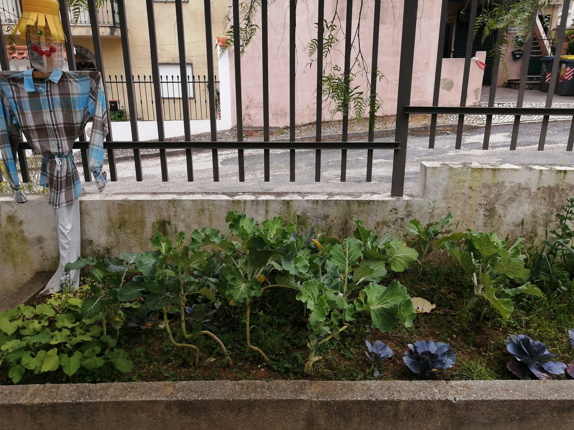 A nossa horta.