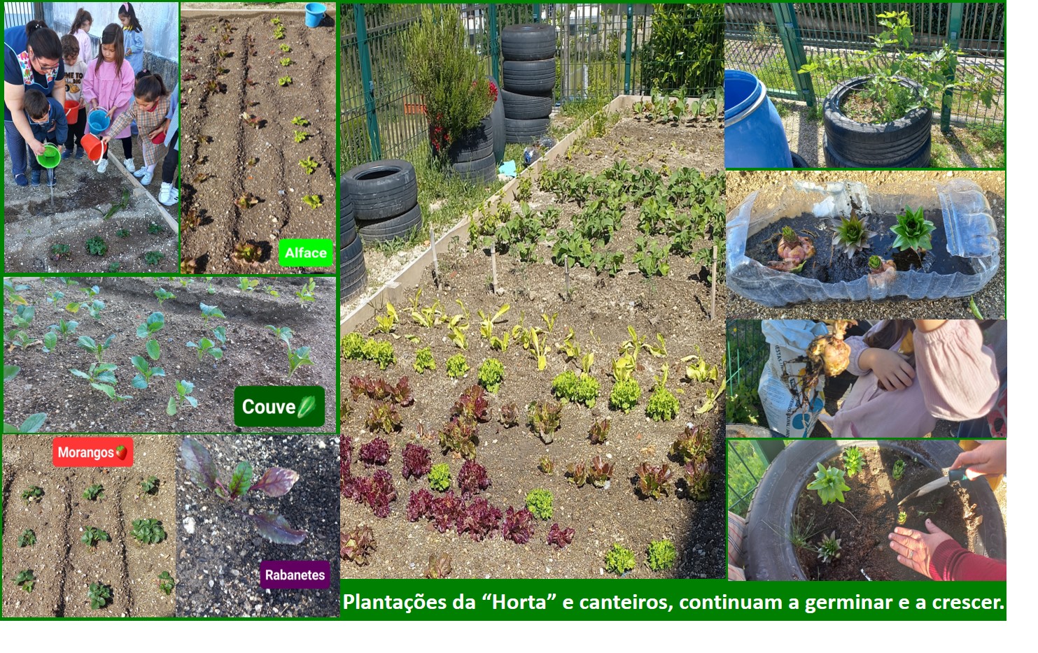 Continuar a plantar para tudo germinar e crescer... Que bonita que está!