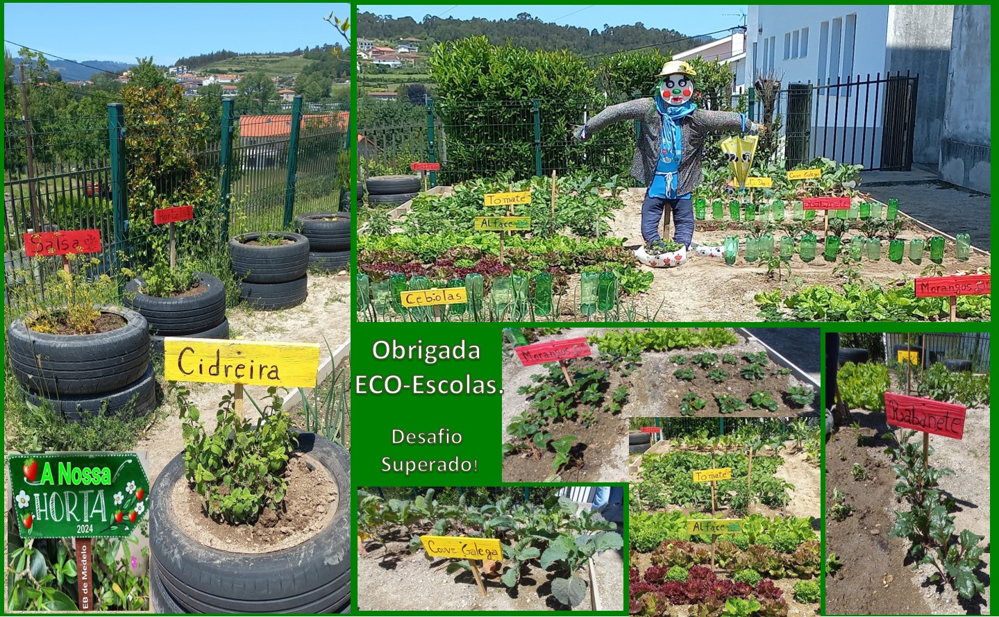 6_ Estamos Muito Felizes com a Nossa Horta Biológica_ Obrigada a TODOS.