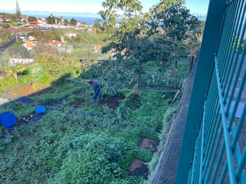 Preparação da terra e do canteiro