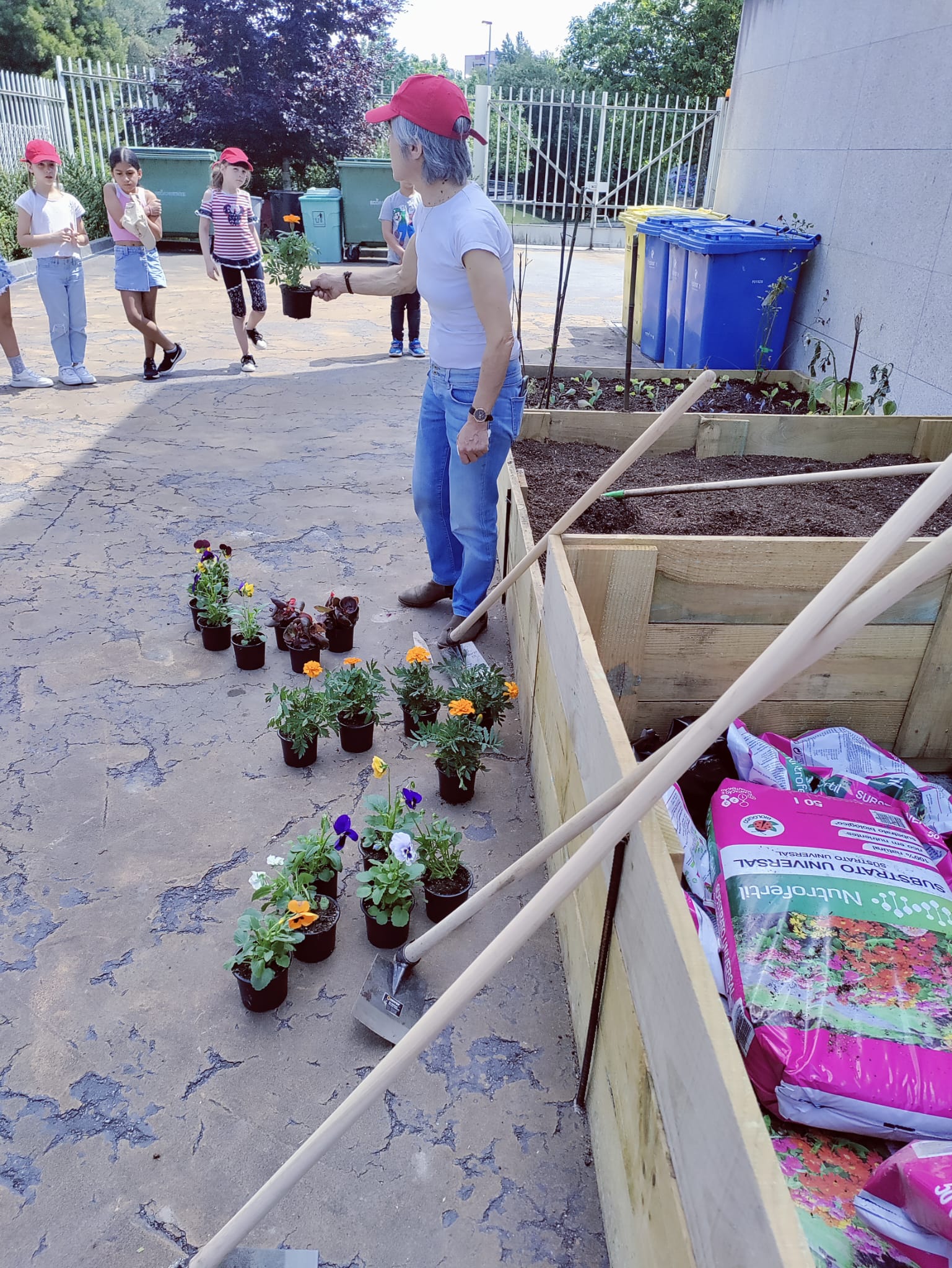 Organização para a plantação das flores