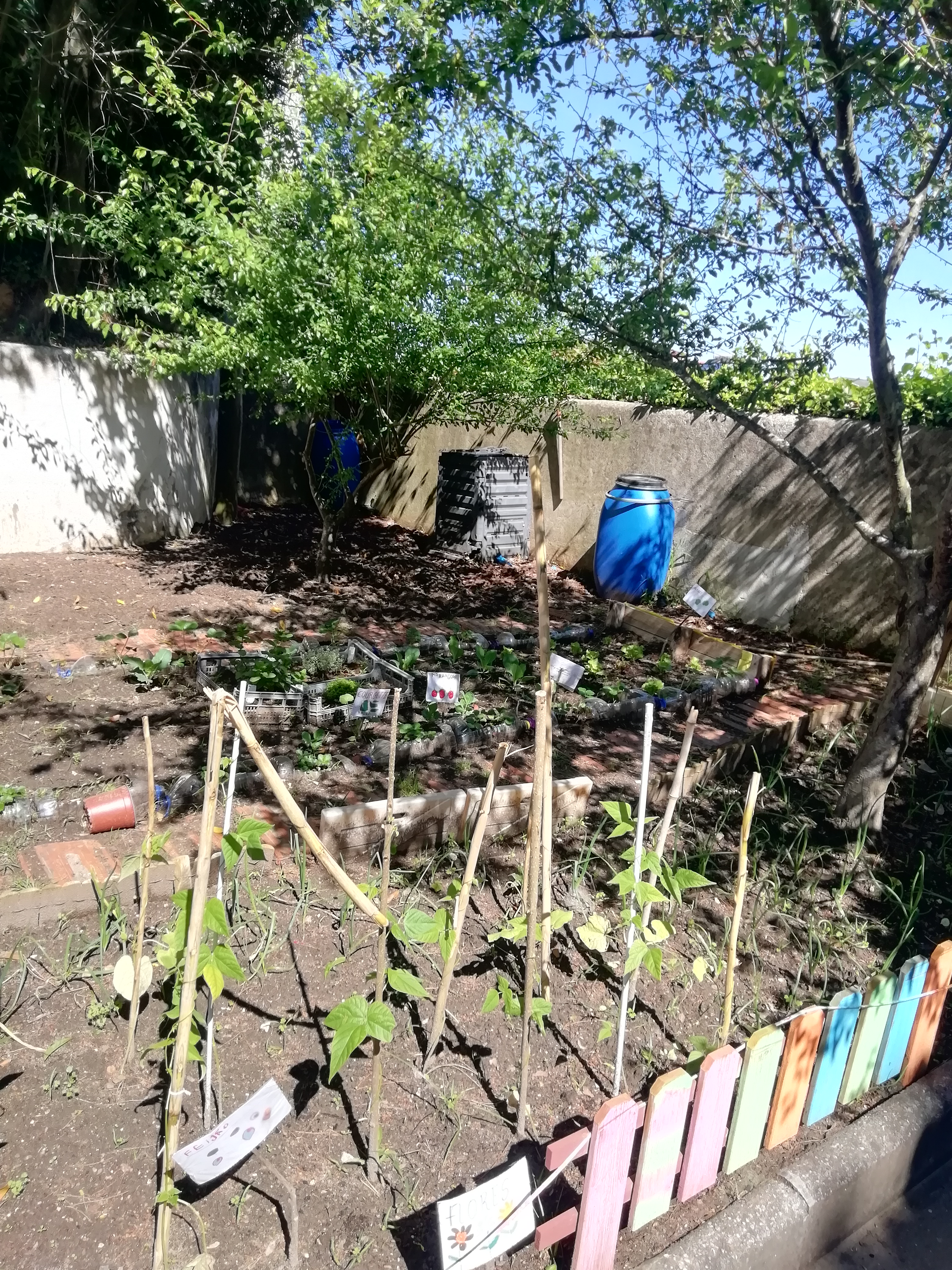Horta com bidão de recolha de águas pluviais e compostor
