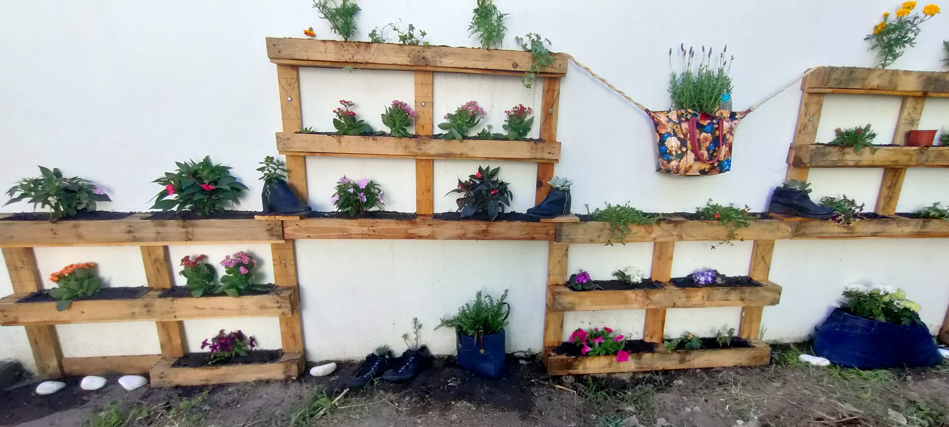 Construção de um jardim vertical com aromáticas e flores