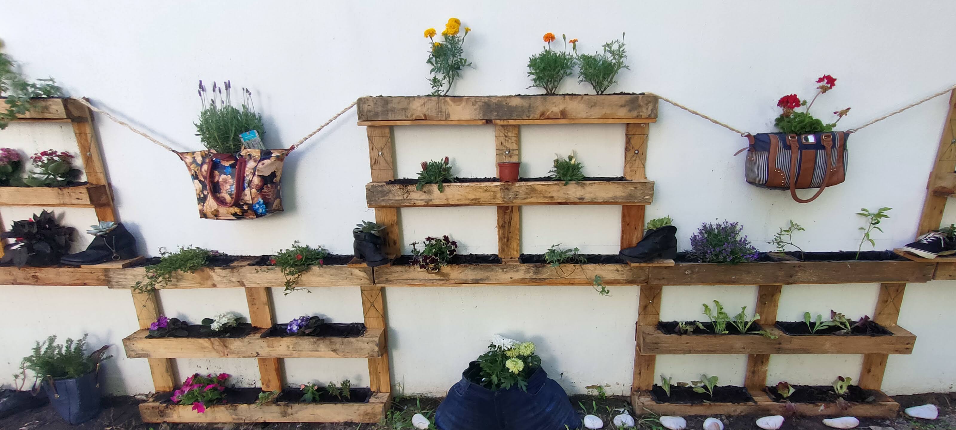 Construção de um jardim vertical com aromáticas e flores